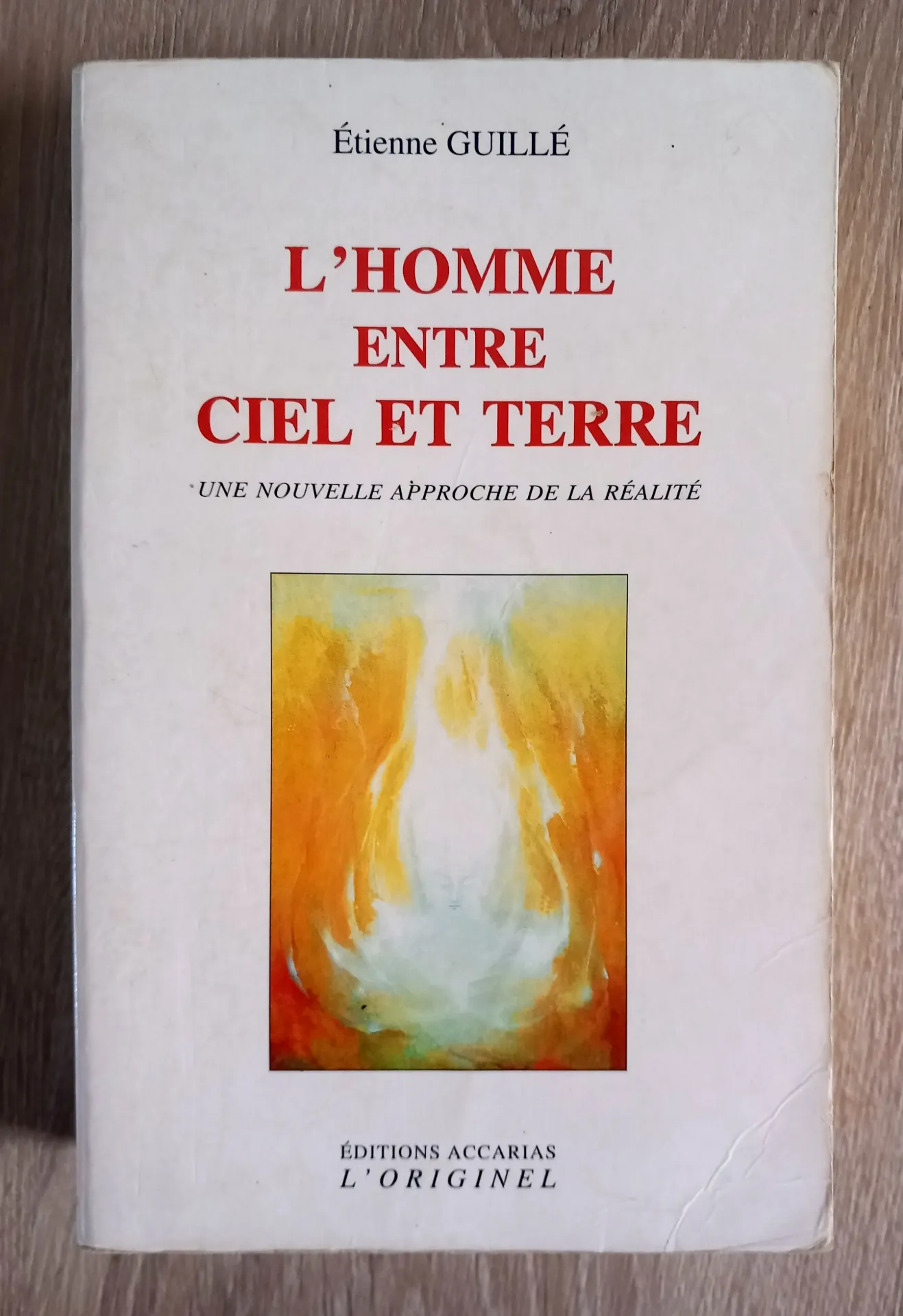 L'homme entre ciel et terre (Etienne Guillé)