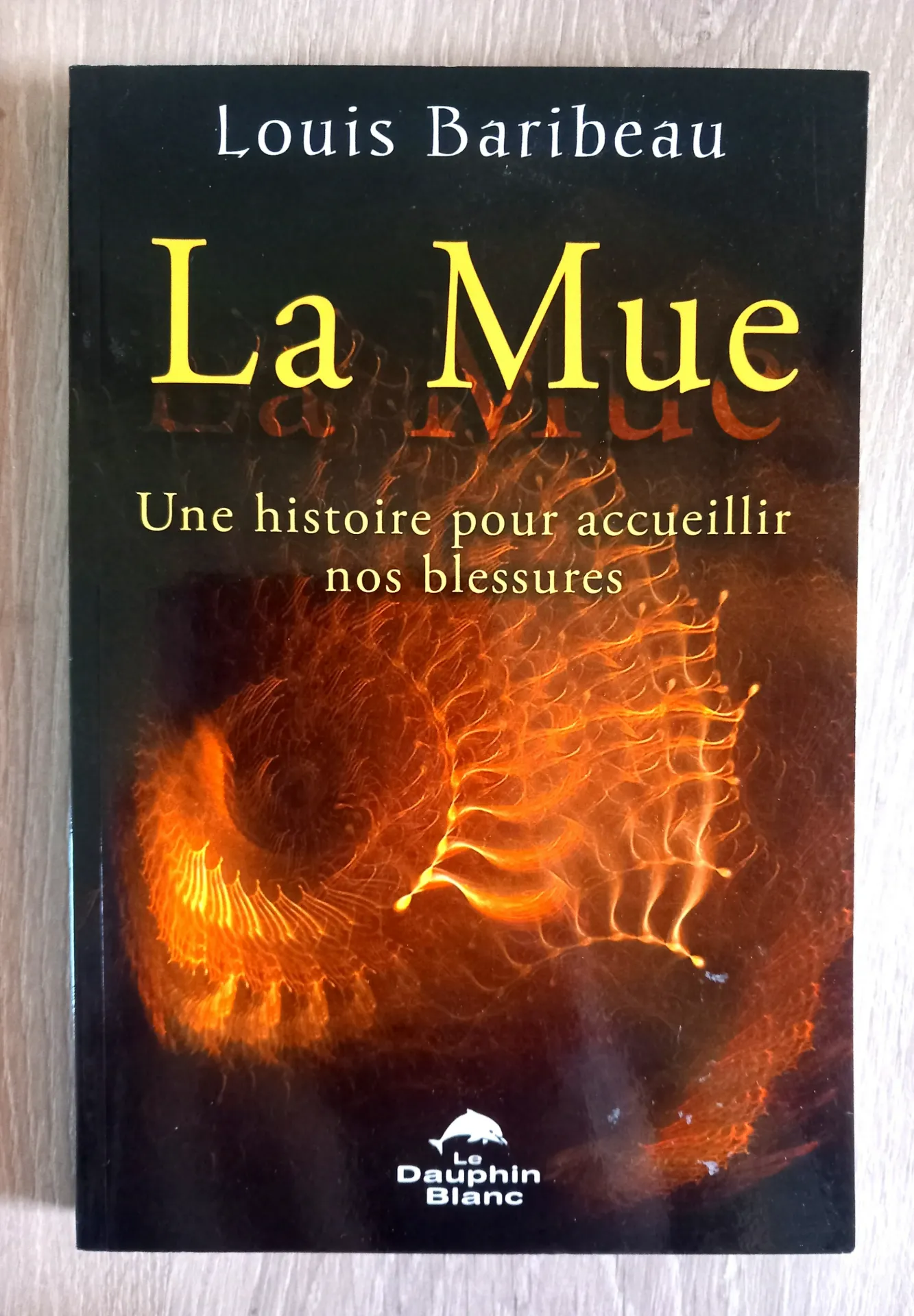 La mue, une histoire pour accueillir nos blessures (Louis Baribeau)