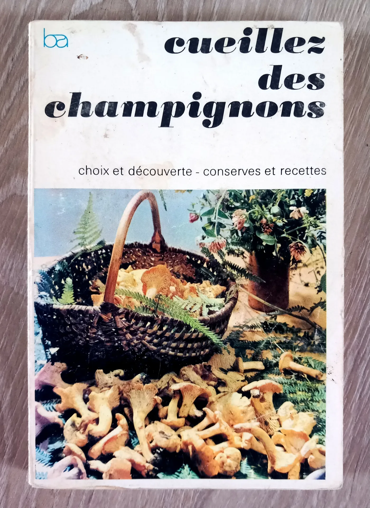 Cueillez des champignons (H. Romagnesi)