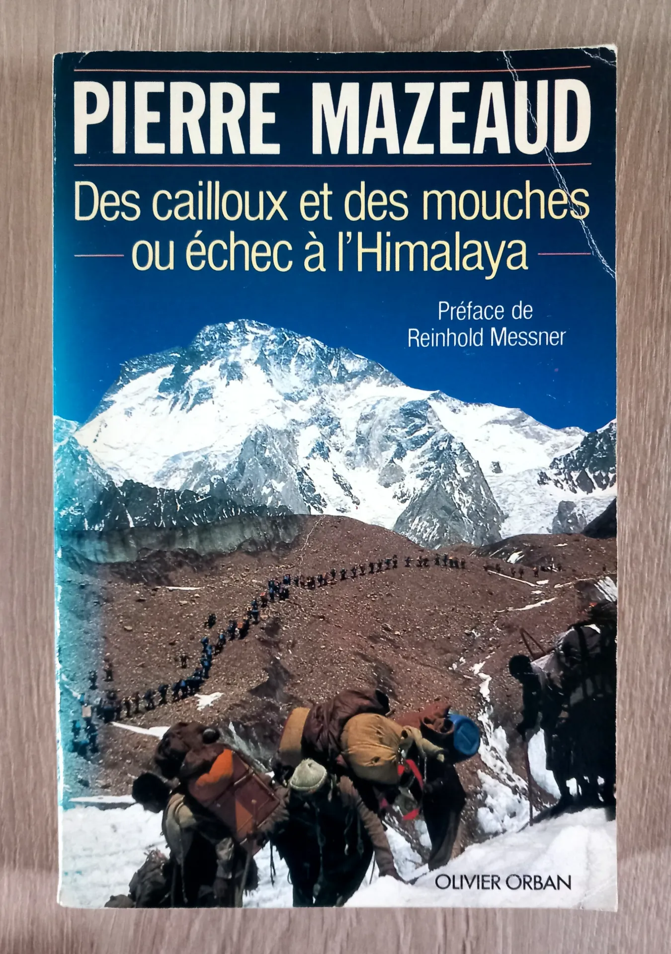 Des cailloux et des mouches ou échecs à l'Himalaya (Pierre Mazeaud)