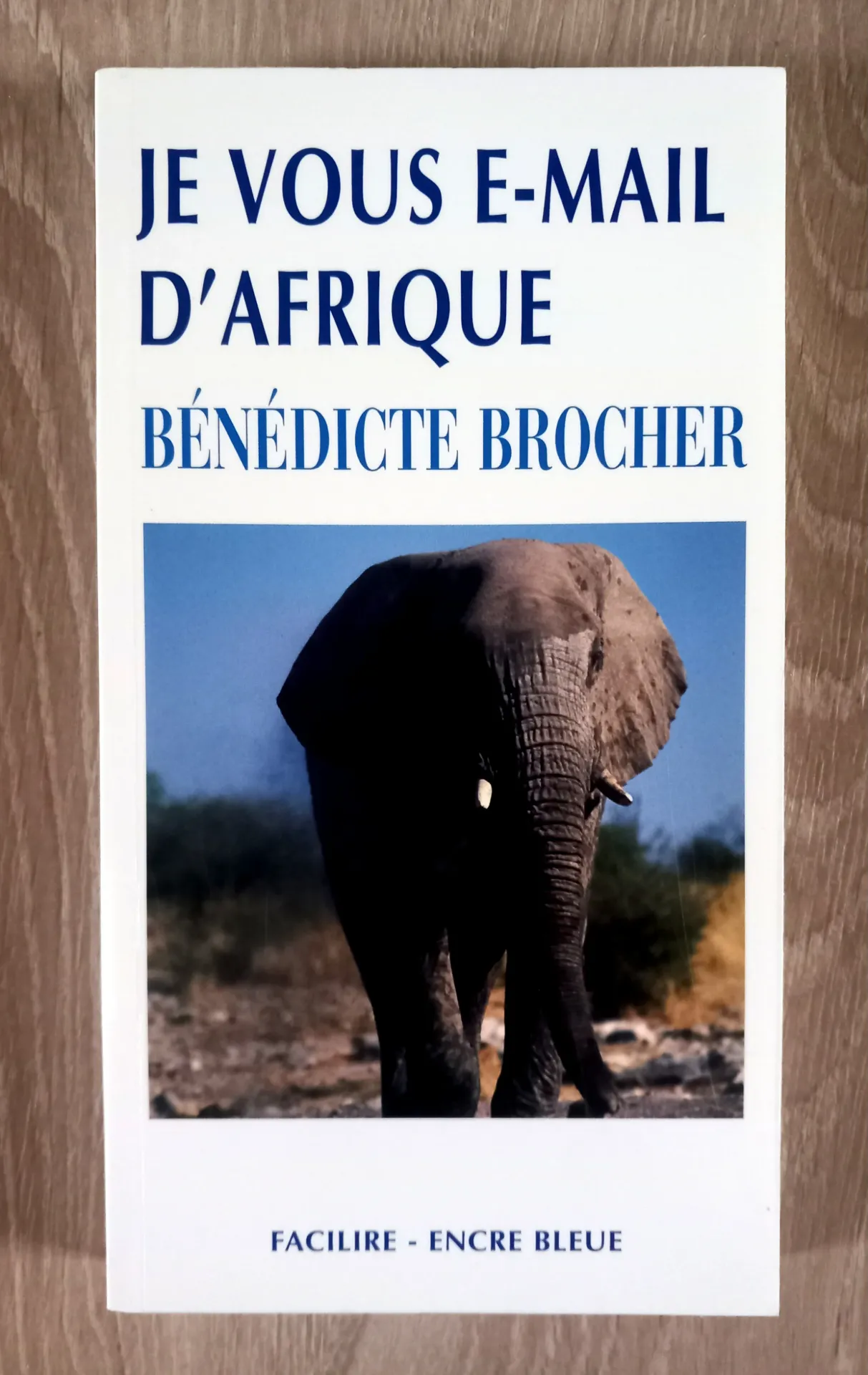 Je vous e-mail d'Afrique (Bénédicte Brocher)