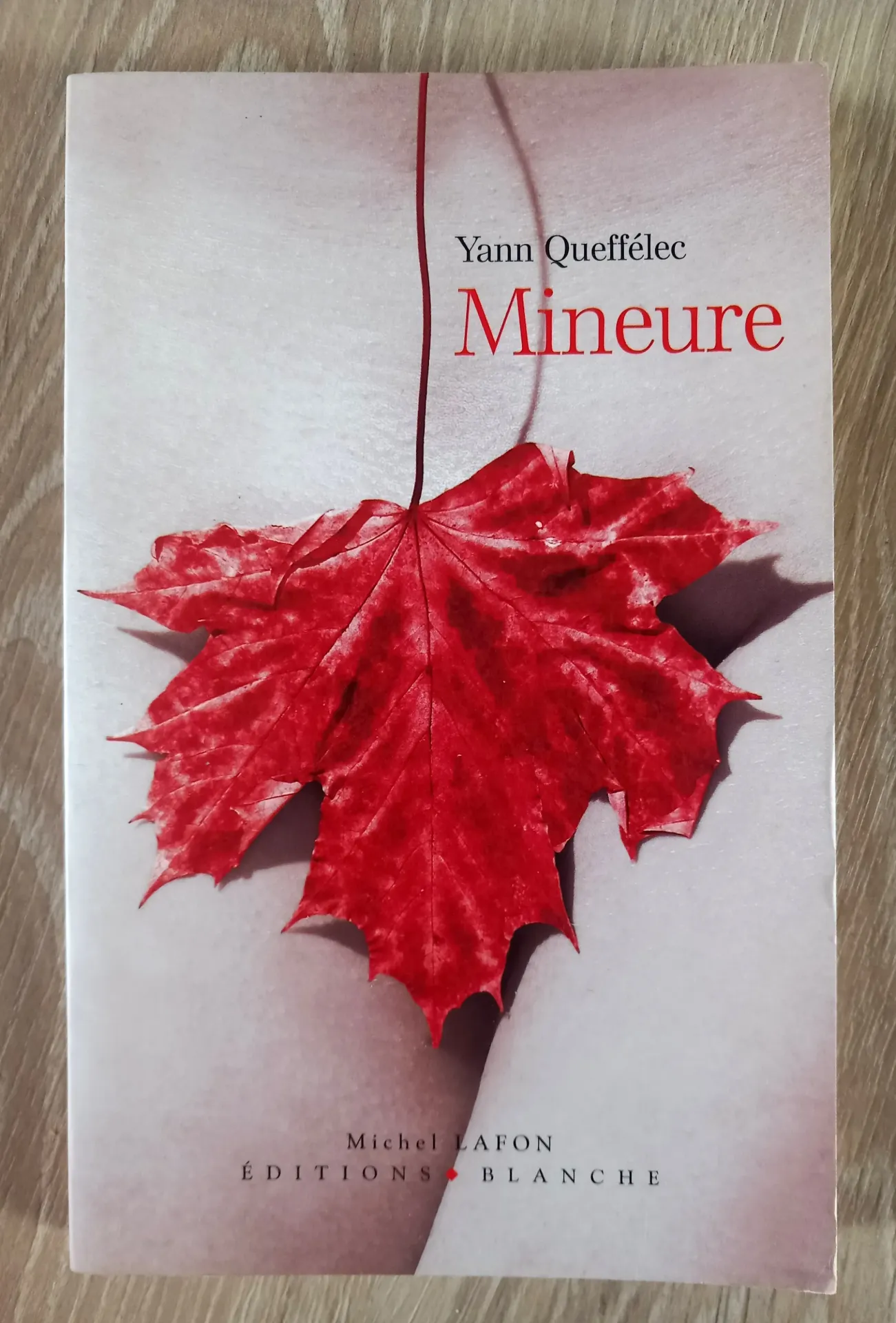 Mineure (Yann Queffélec)