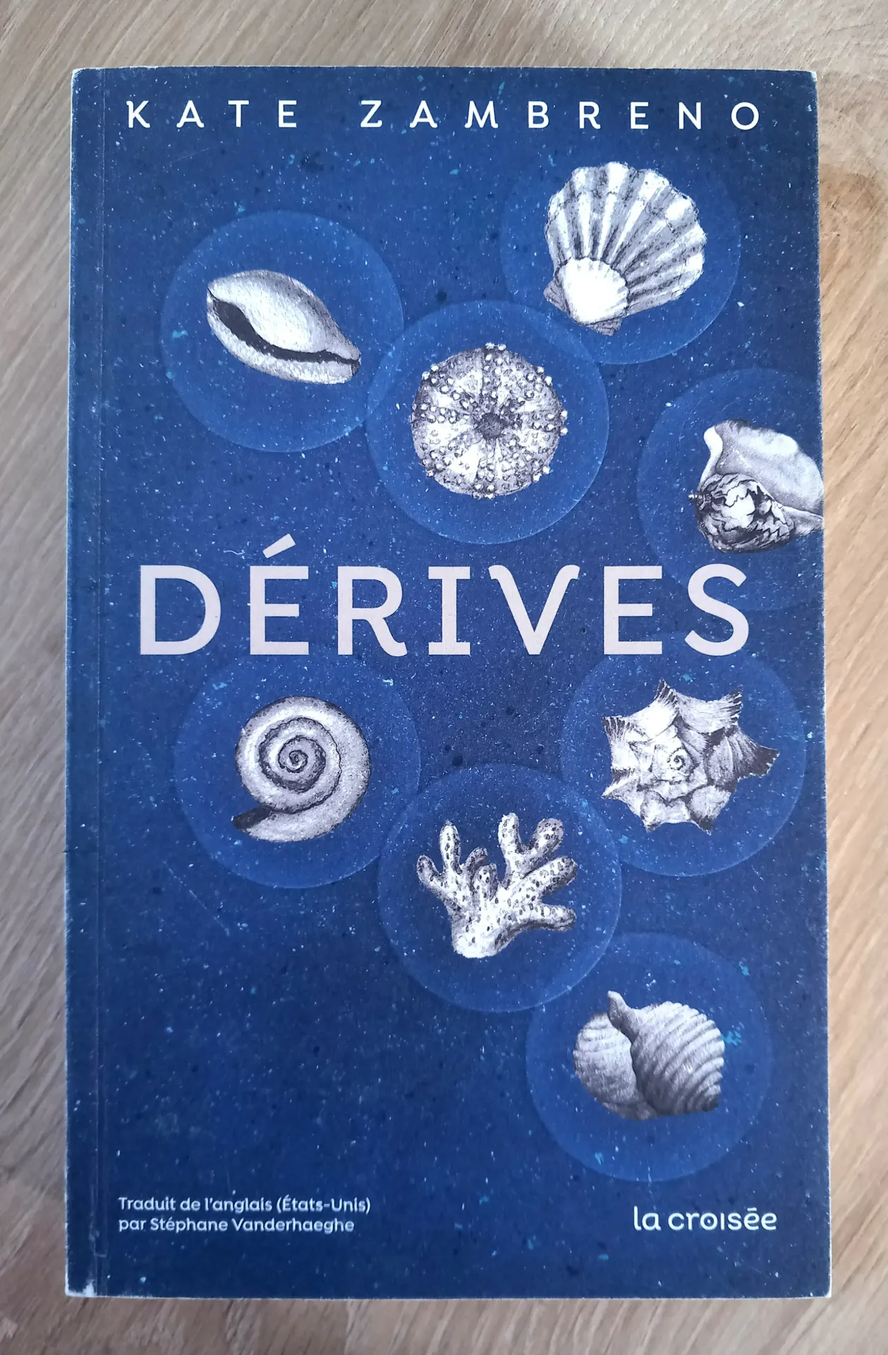 Dérives (Kate Zambreno)