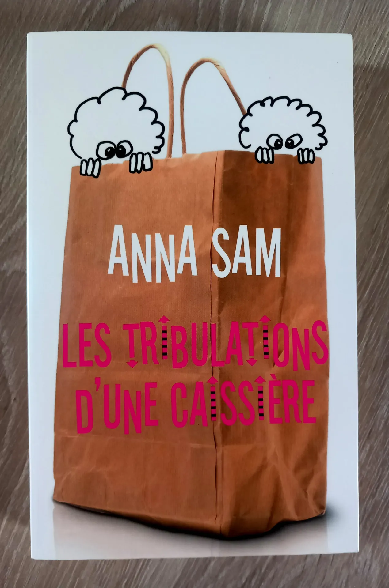 Les tribulations d'une caissière (Anna Sam)