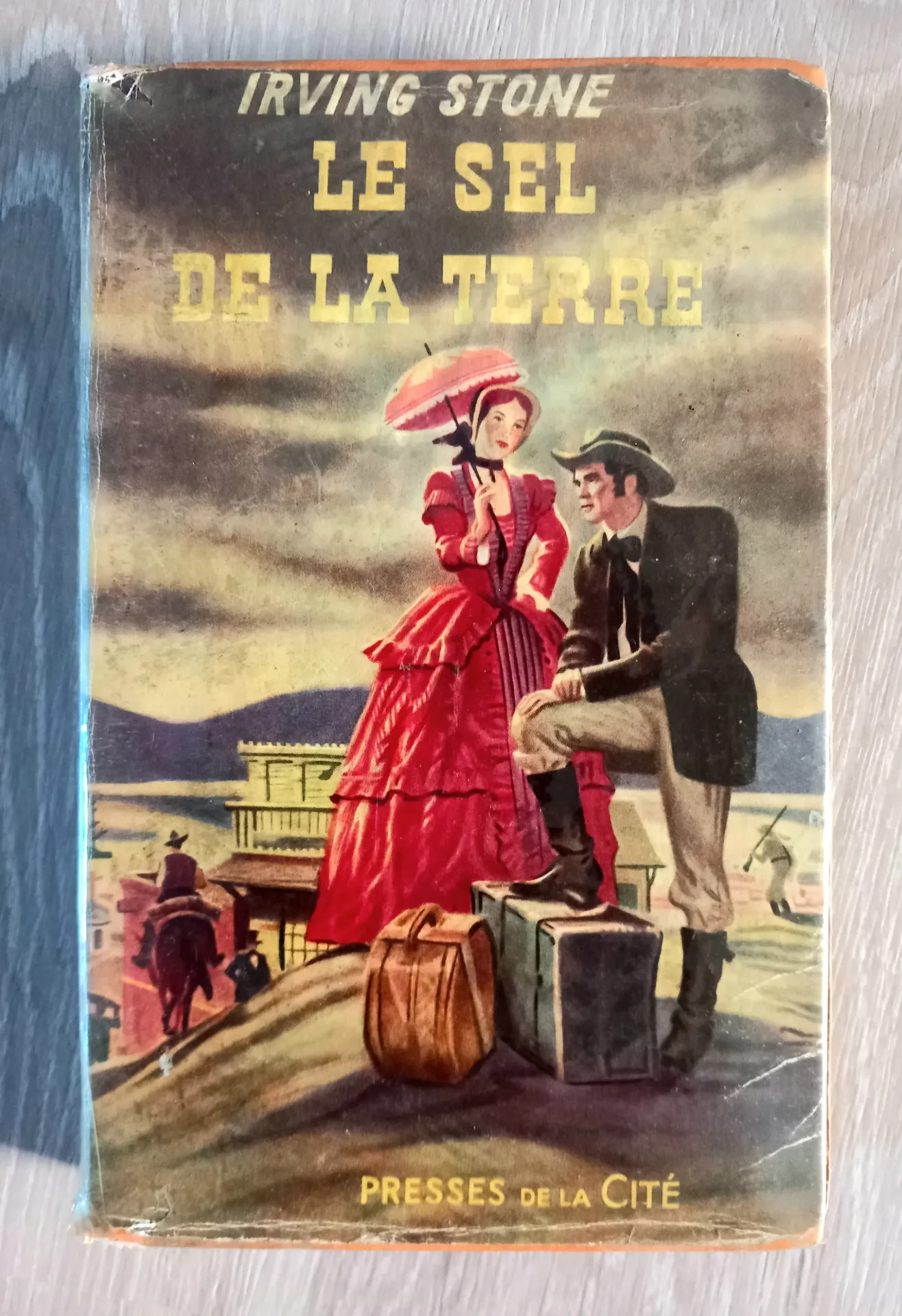 Le sel de la terre (Irving Stone)