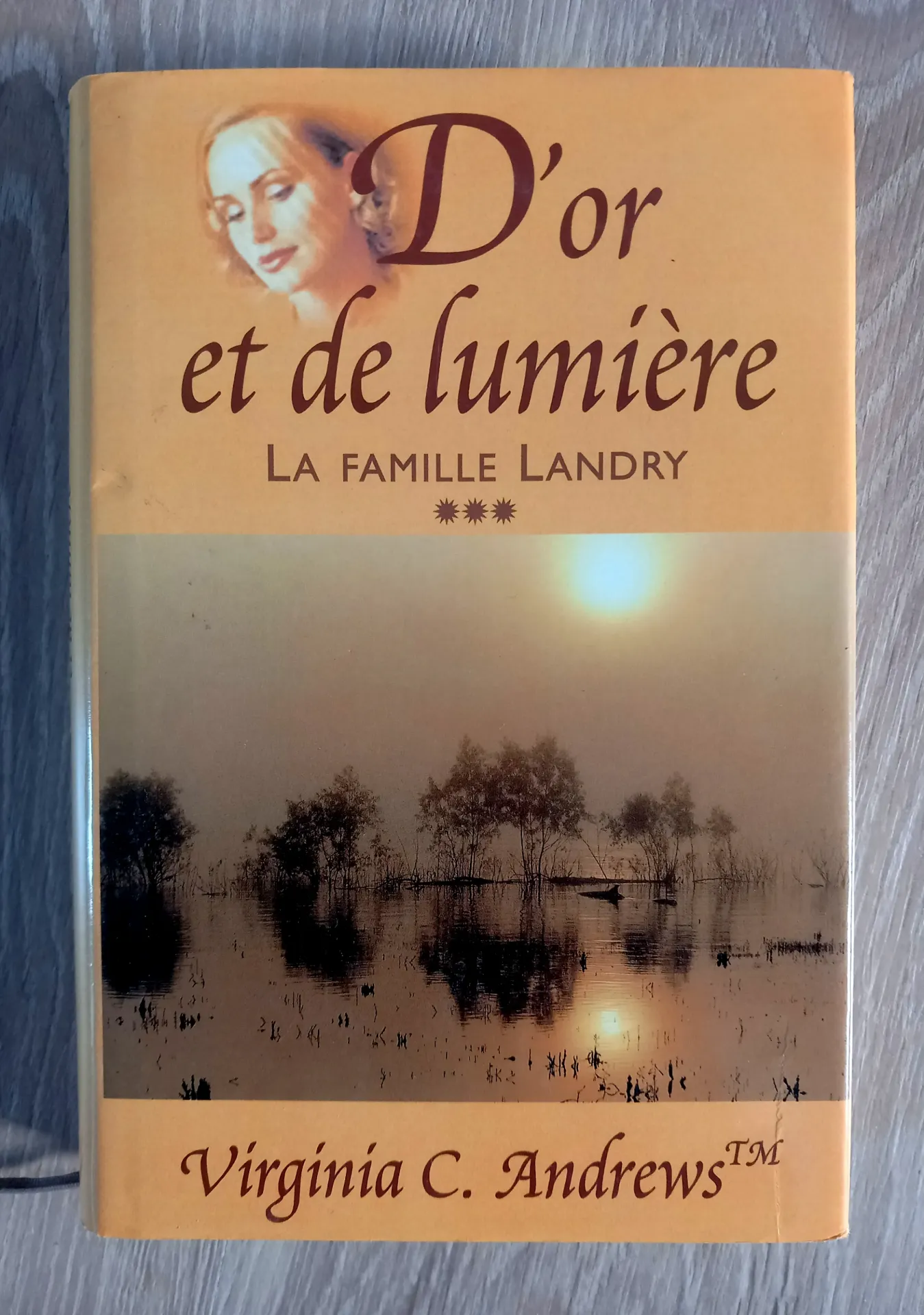 La famille Landry, tome 3 : d'or et de lumière (Virginia C. Andrews)