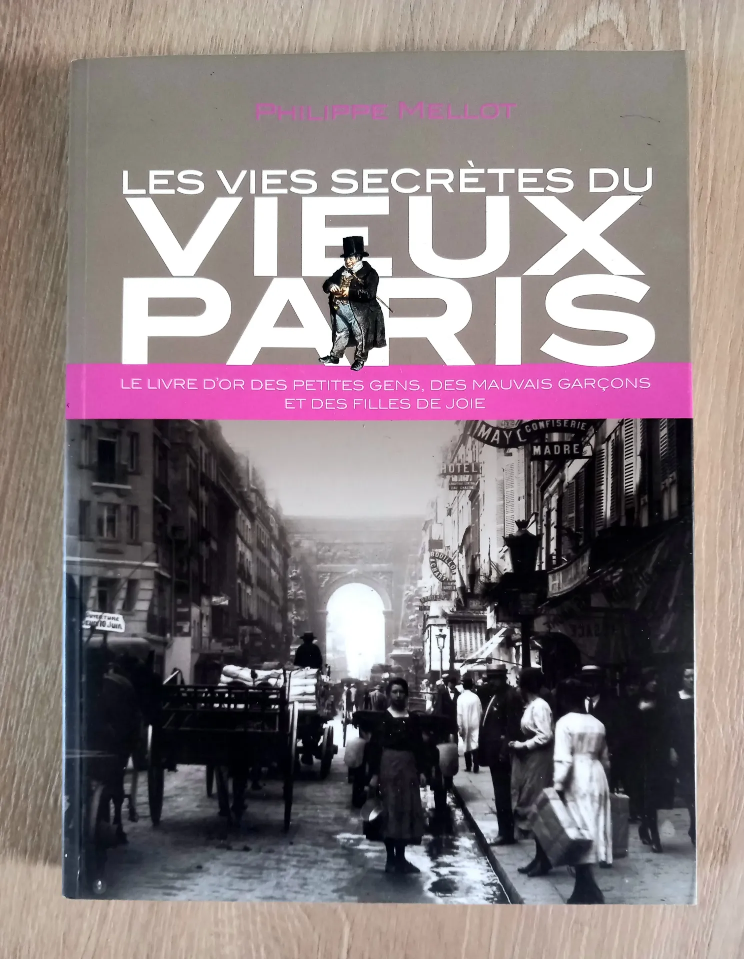 Les vies secrètes du vieux Paris (Philippe Mellot)