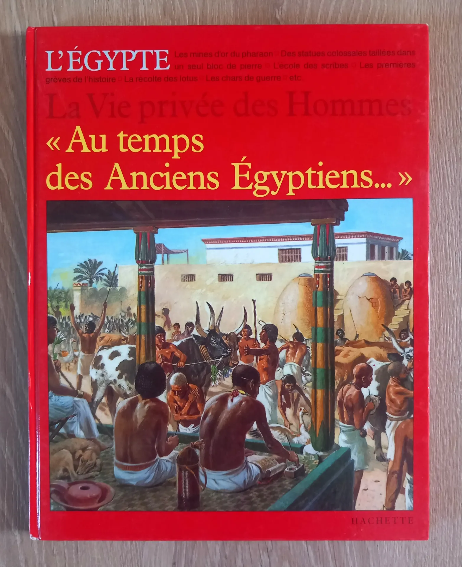 Au temps des Anciens Egyptiens (Pierre Miquel)
