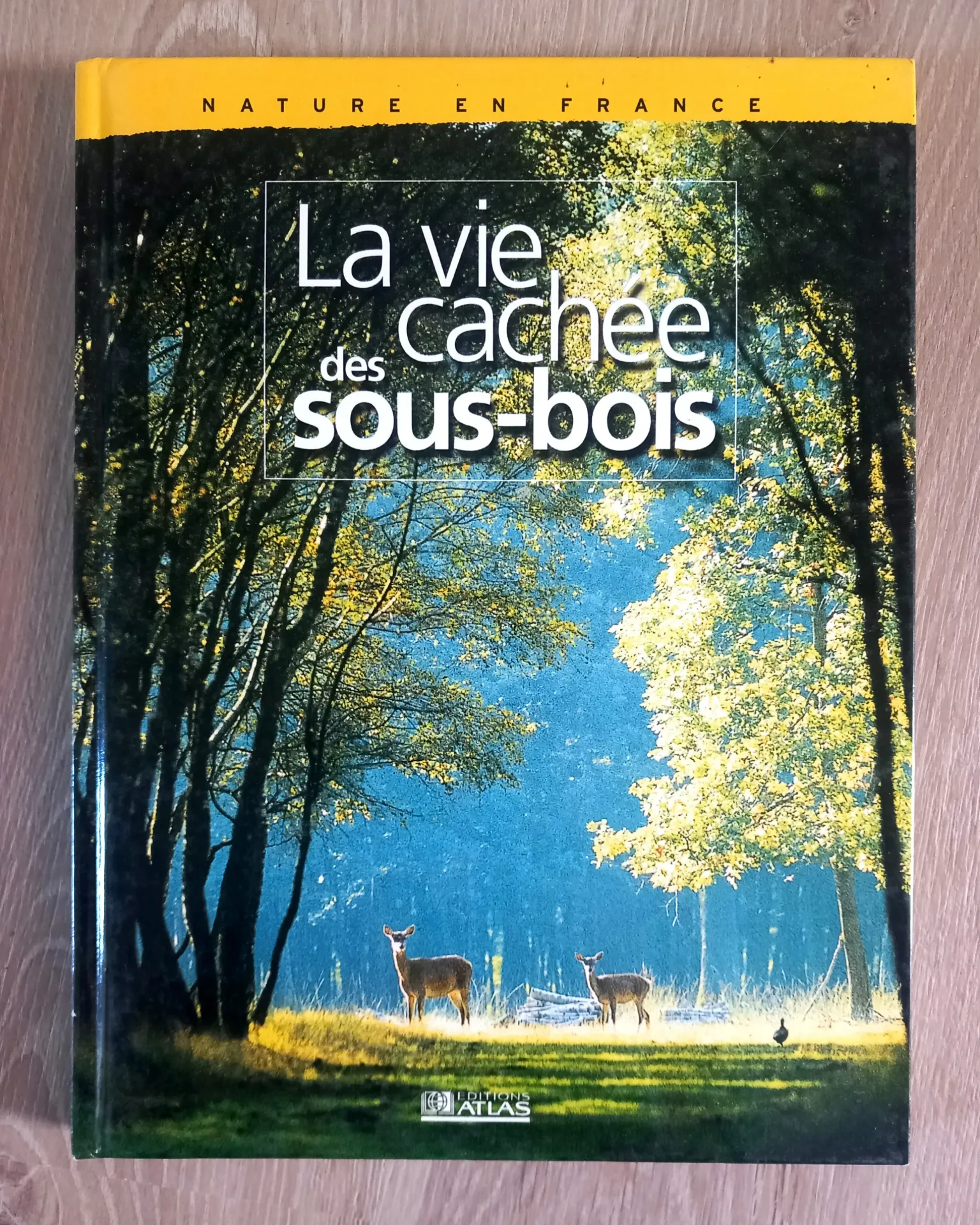 La vie cachée des sous-bois. Nature en France