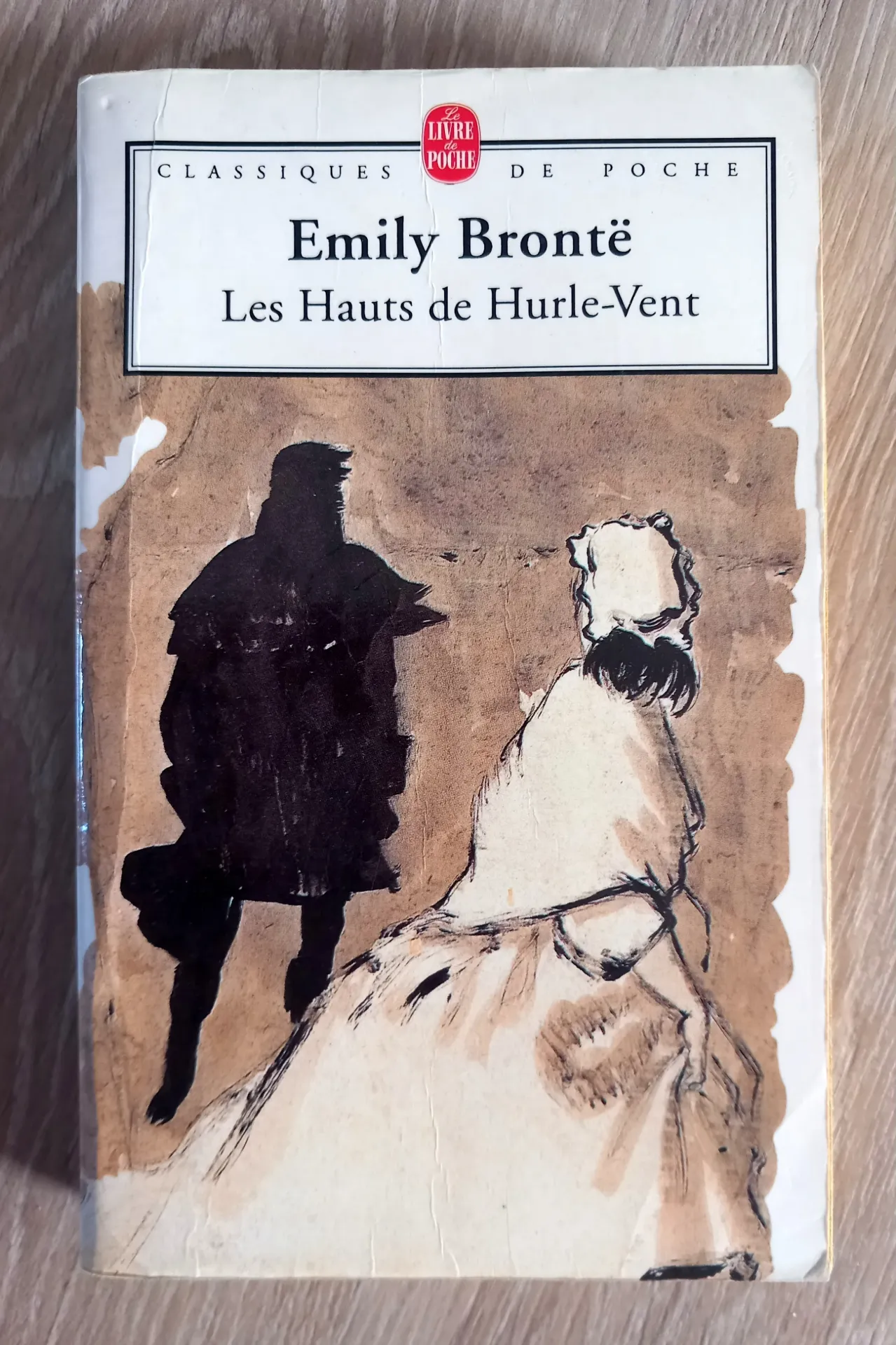 Les Hauts de Hurle-Vent (Emily Brontë)