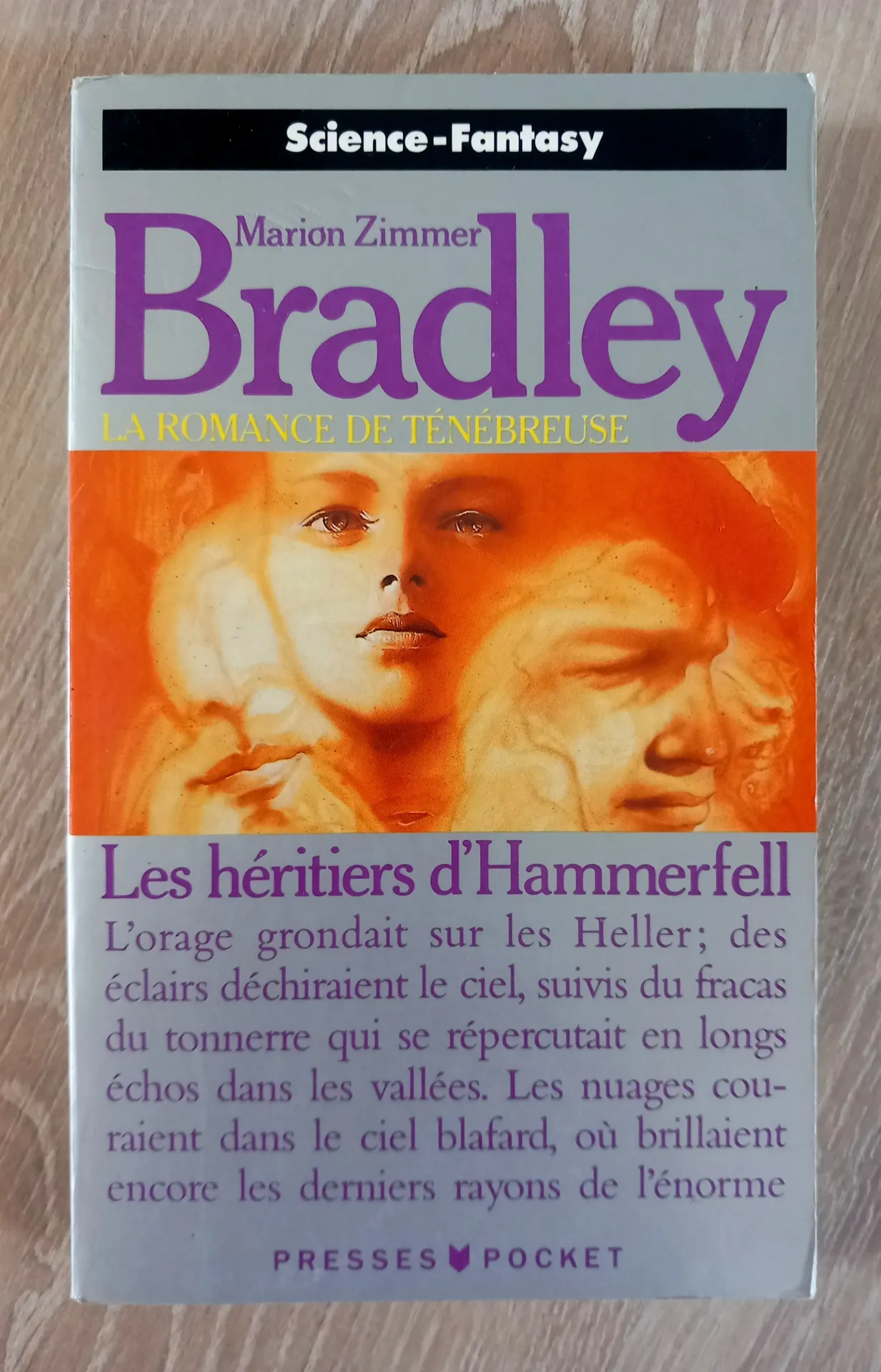 Les héritiers d'Hammerfell - La romance de Ténèbreuse (Marion Zimmer Bradley)