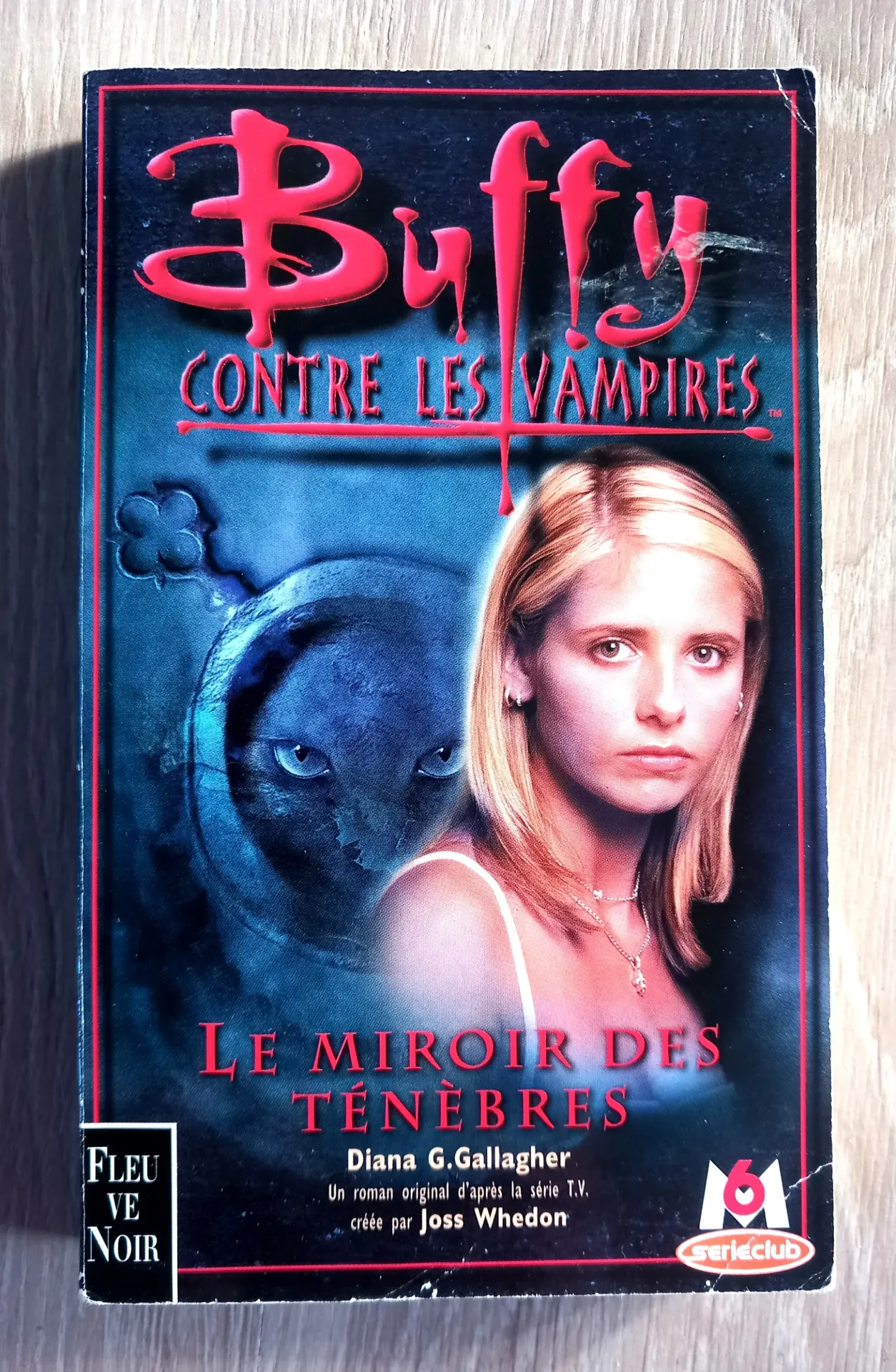Buffy contre les vampires : Le miroir des ténèbres (Diana G. Gallagher)
