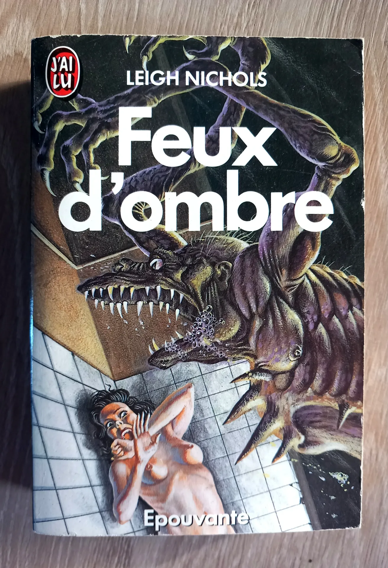Feux d'ombre (Leigh Nichols)