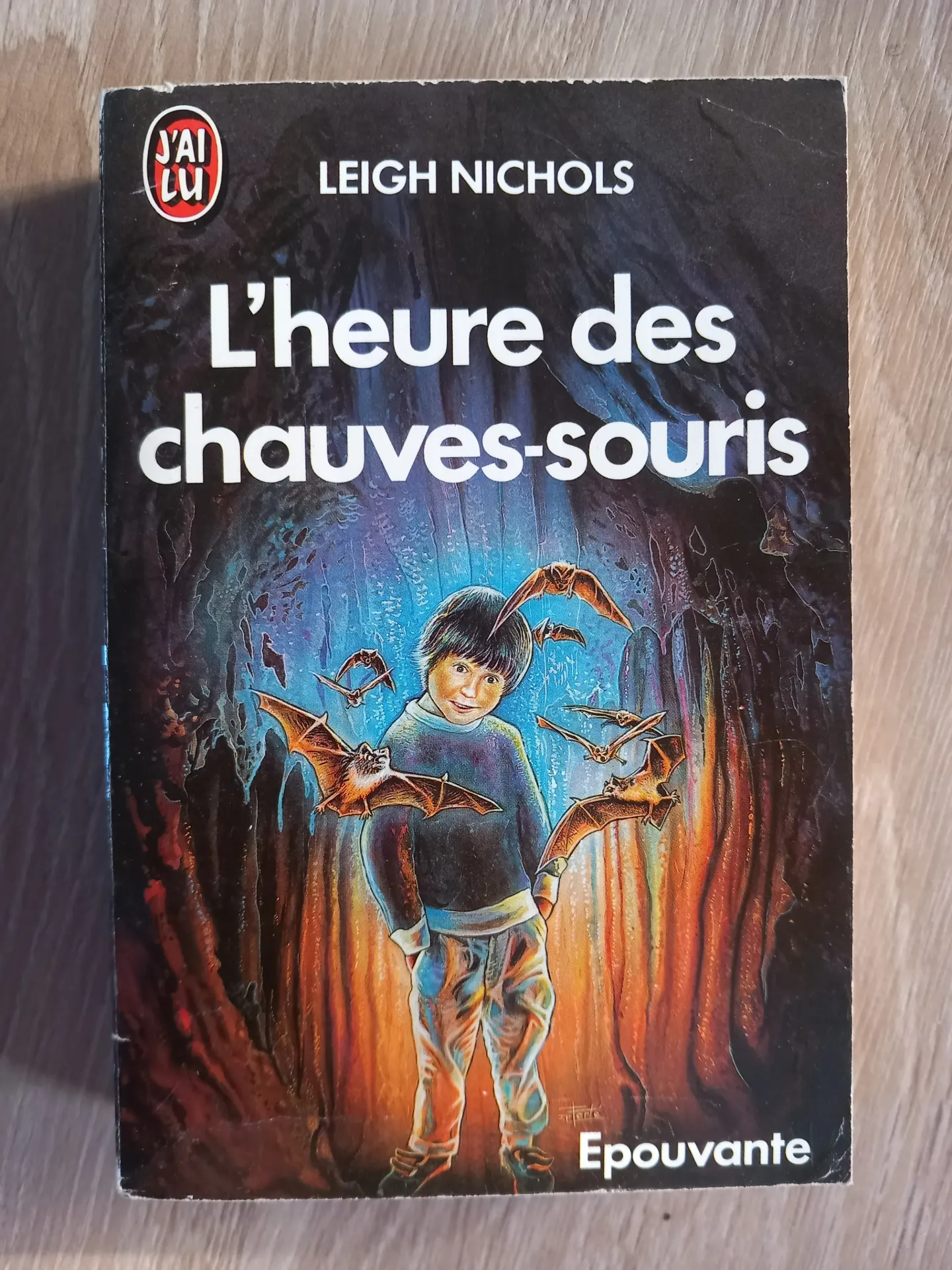L'heure des chauves-souris (Leigh Nichols)