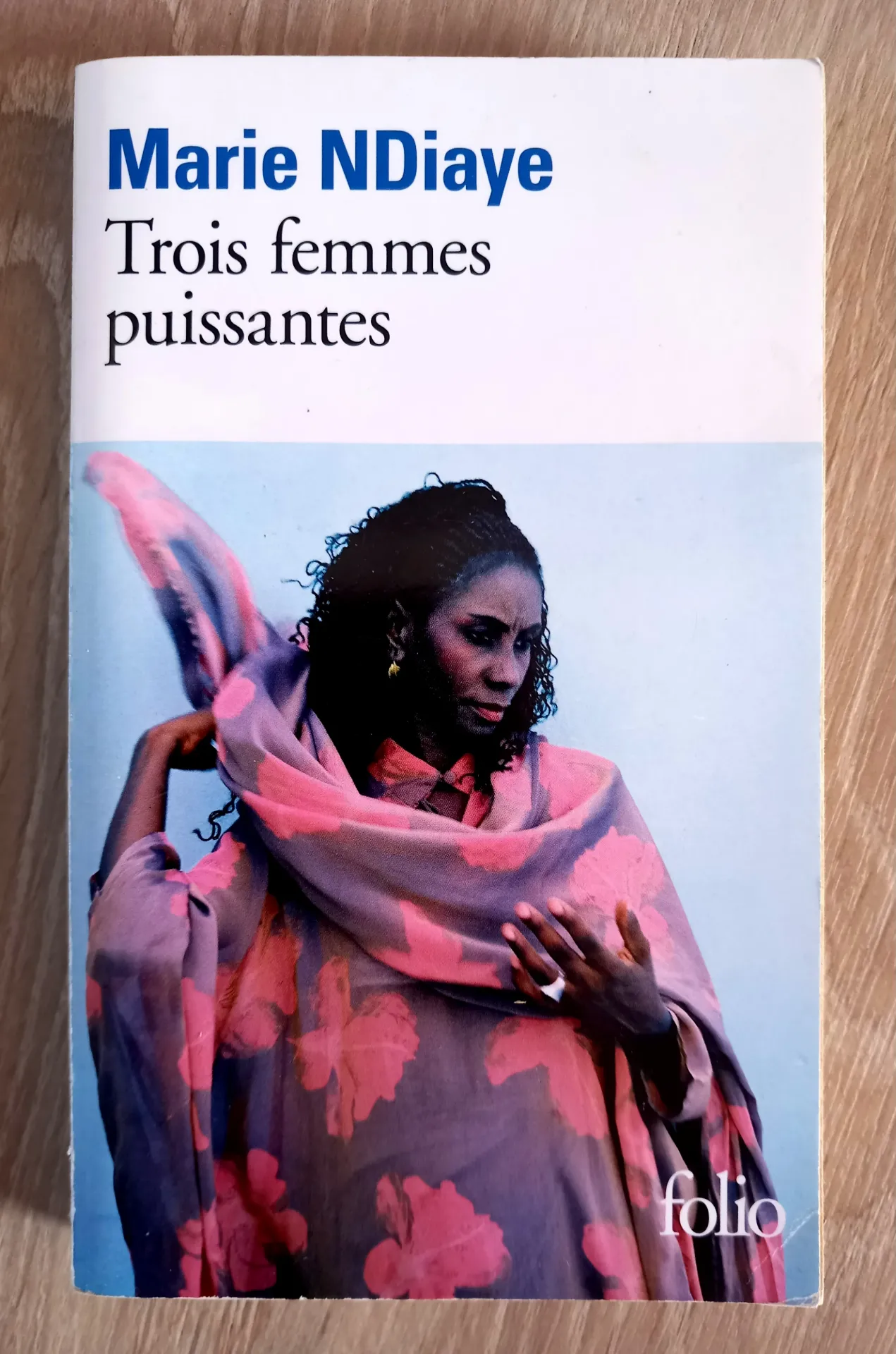 Trois femmes puissantes (Marie NDiaye)