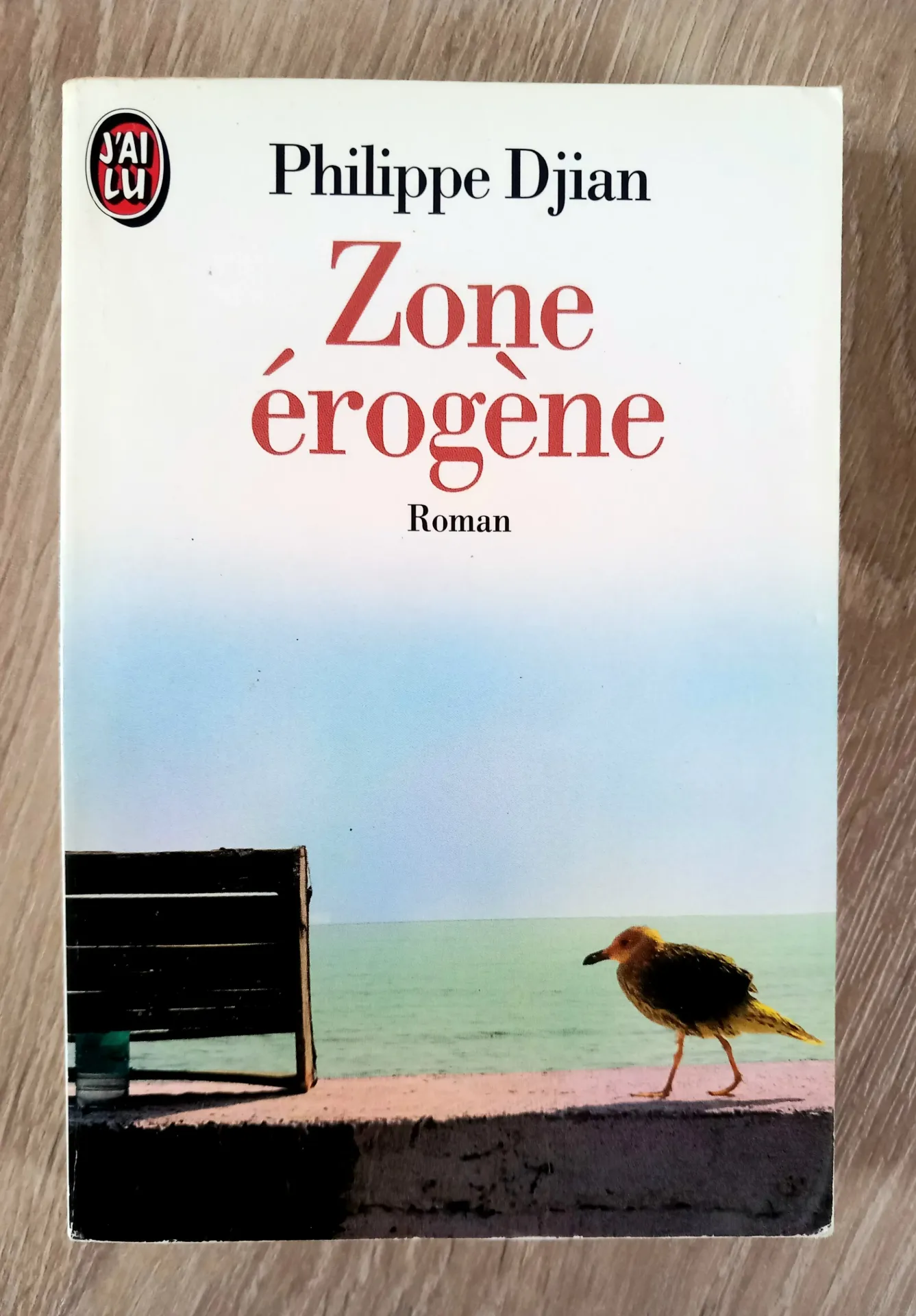 Zone érogène (Philippe Djian)