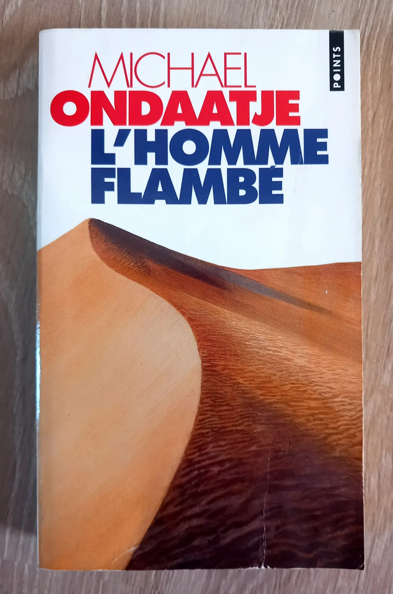 L'homme flambé ou le Patient anglais (Michael Ondaatje)