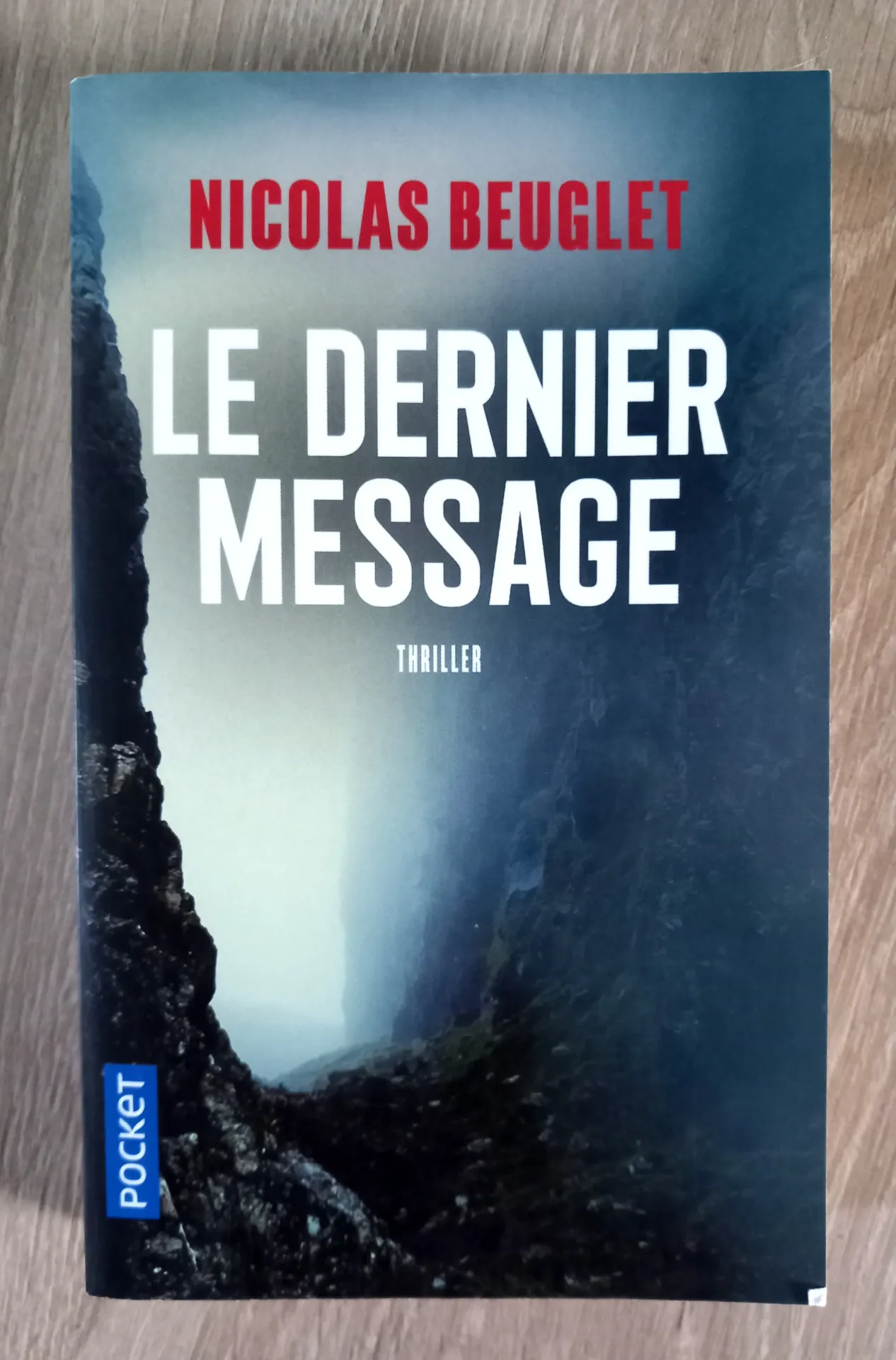 Le dernier message (Nicolas Beuglet)