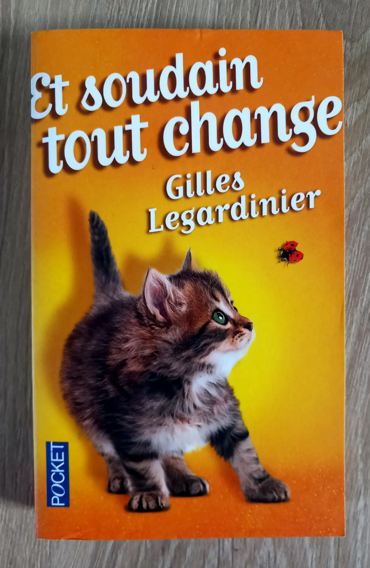 Et soudain tout change (Gilles Legardinier)