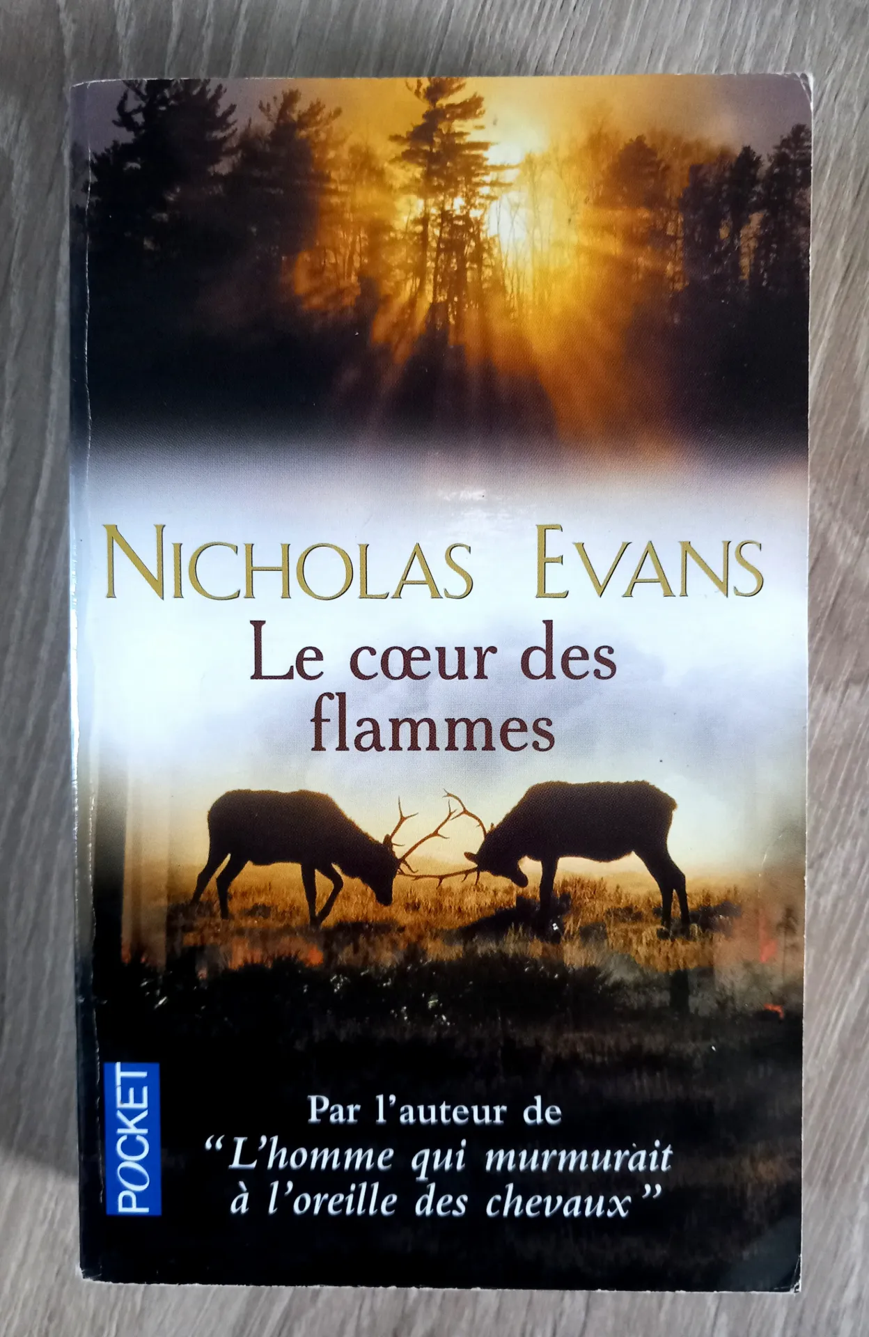 Le coeur des flammes (Nicholas Evans)
