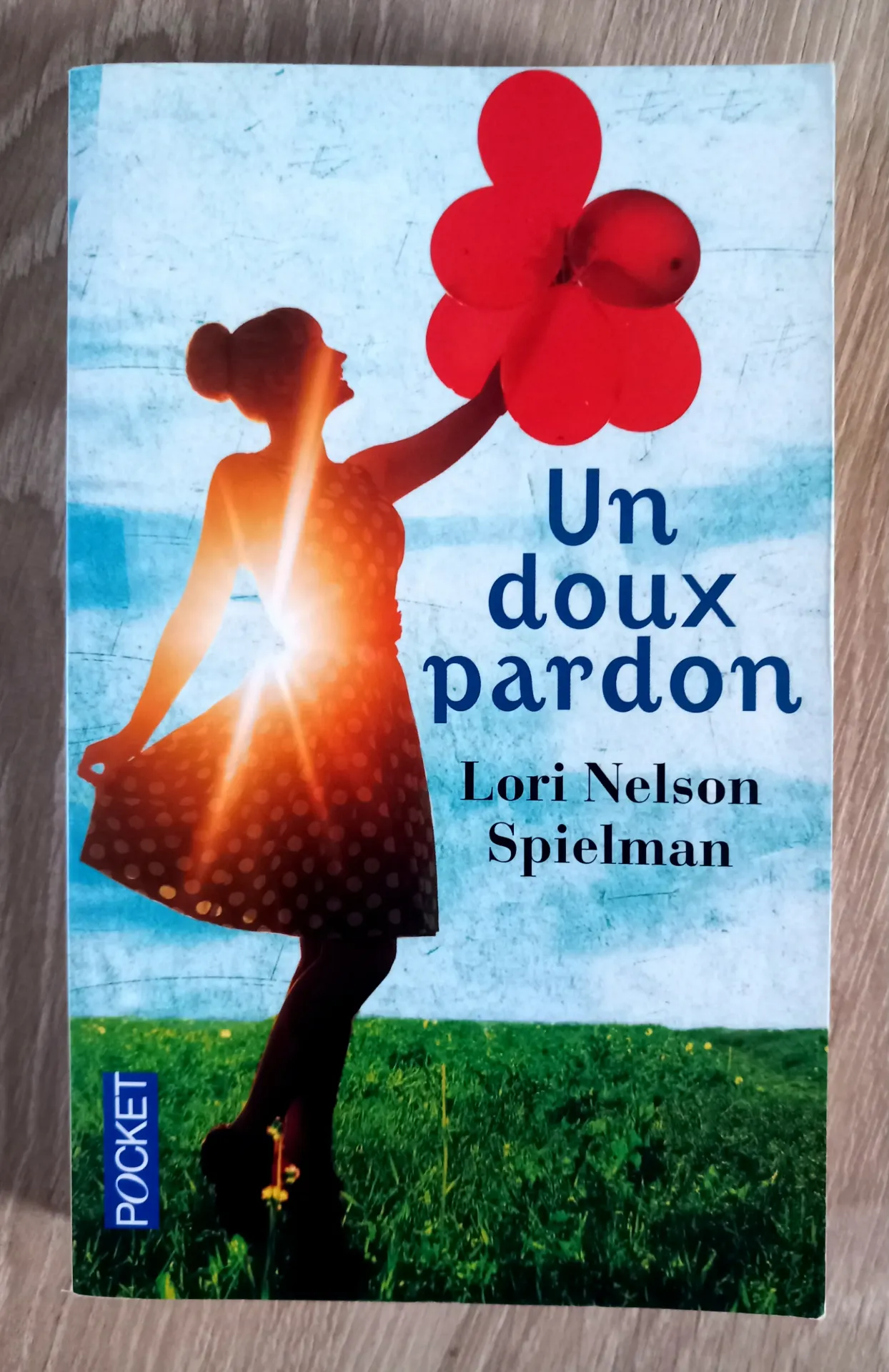 Un doux pardon (Lori Nelson Spielman)
