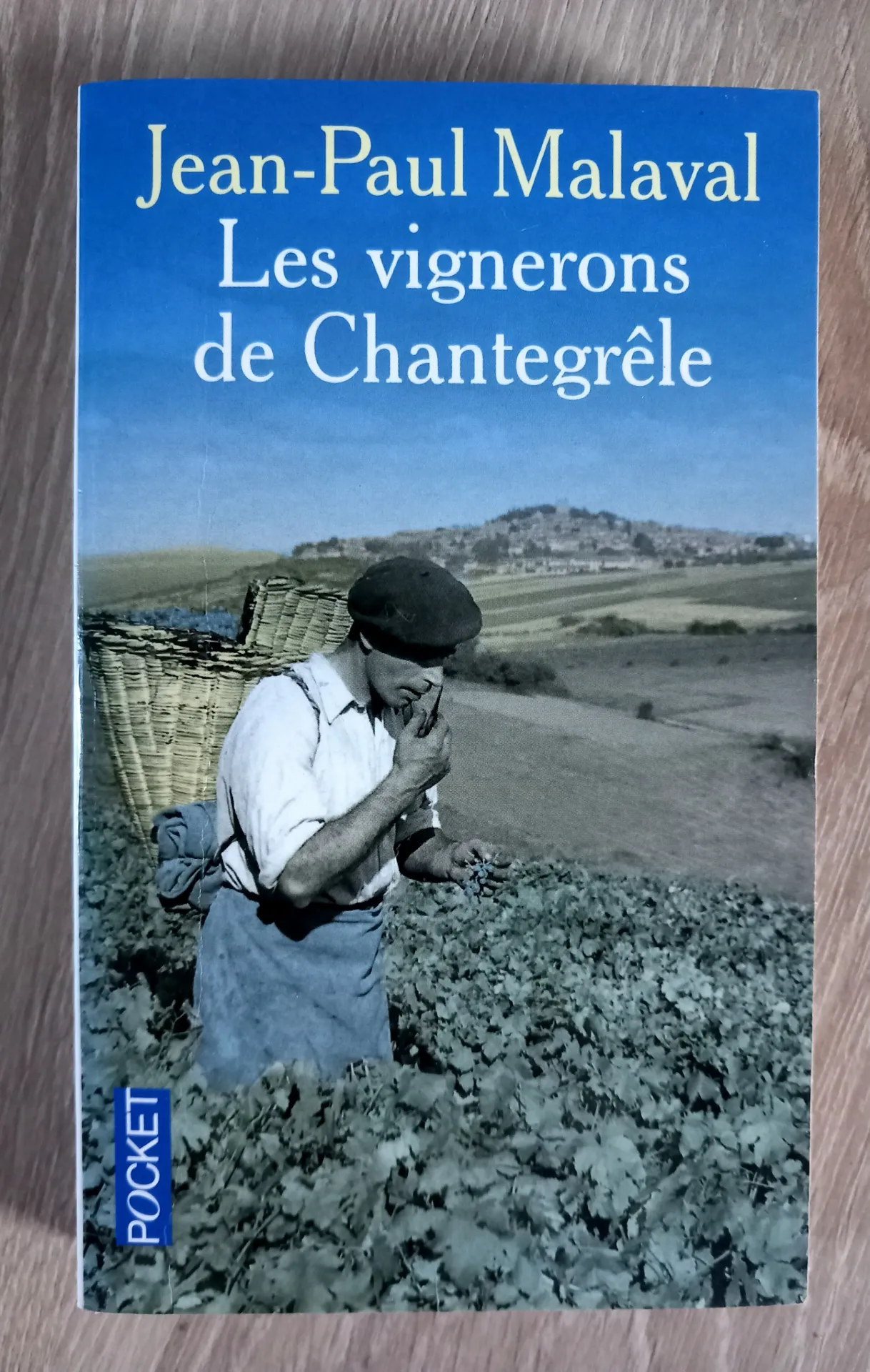 Les vignerons de Chantegrêle (Jean-Pierre Malaval)