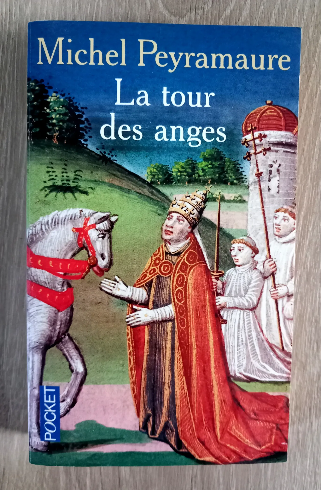 La tour des anges (Michel Peyremaure)