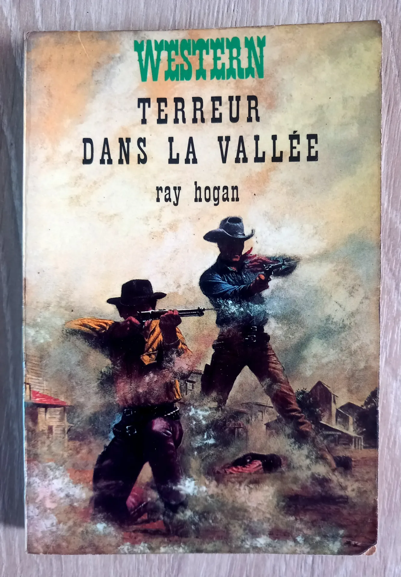 Western : Terreur dans la vallée (Ray Hogan)