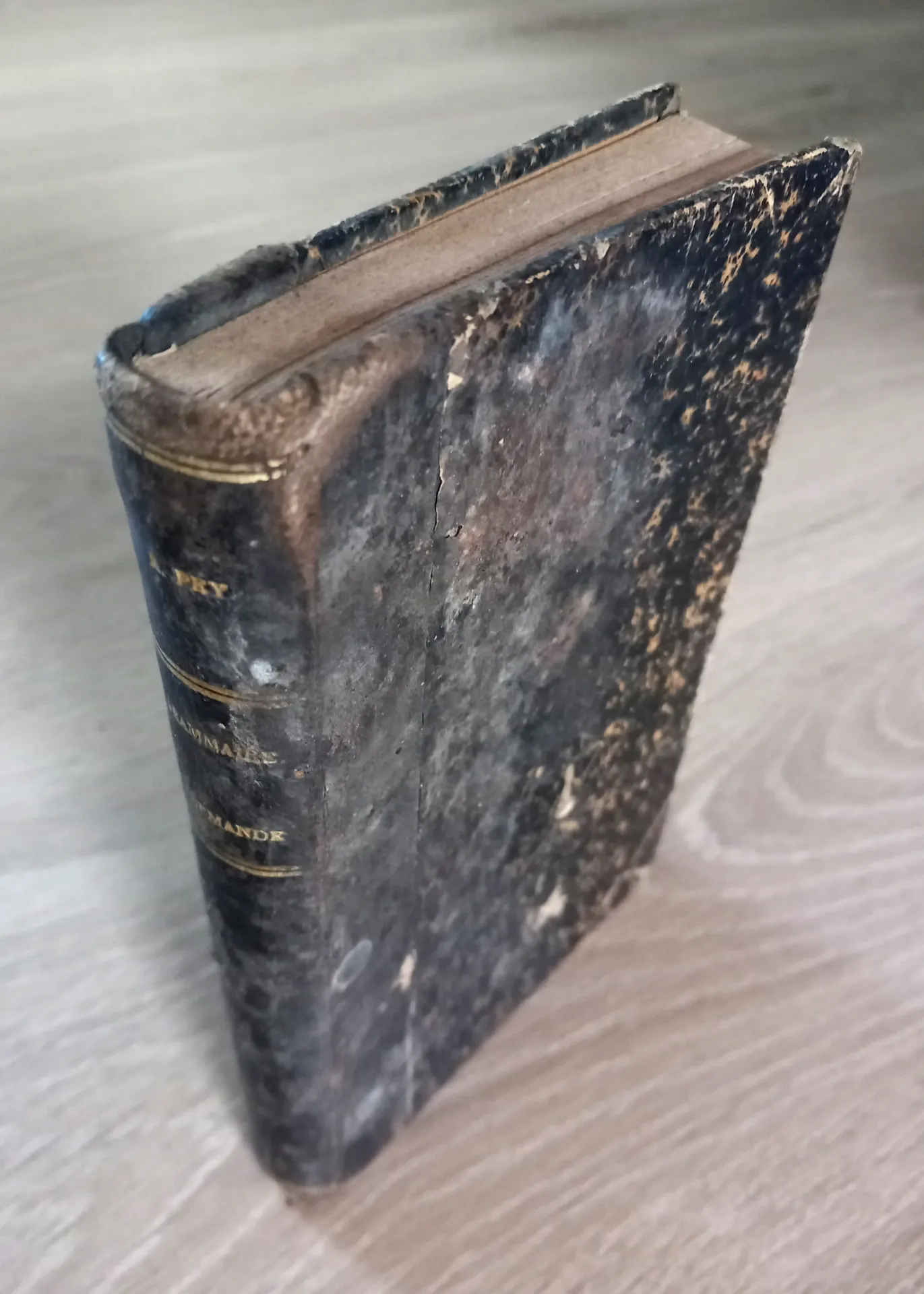 Grammaire allemande, pratique et raisonnée - 1887 (M. Alexandre Pey)