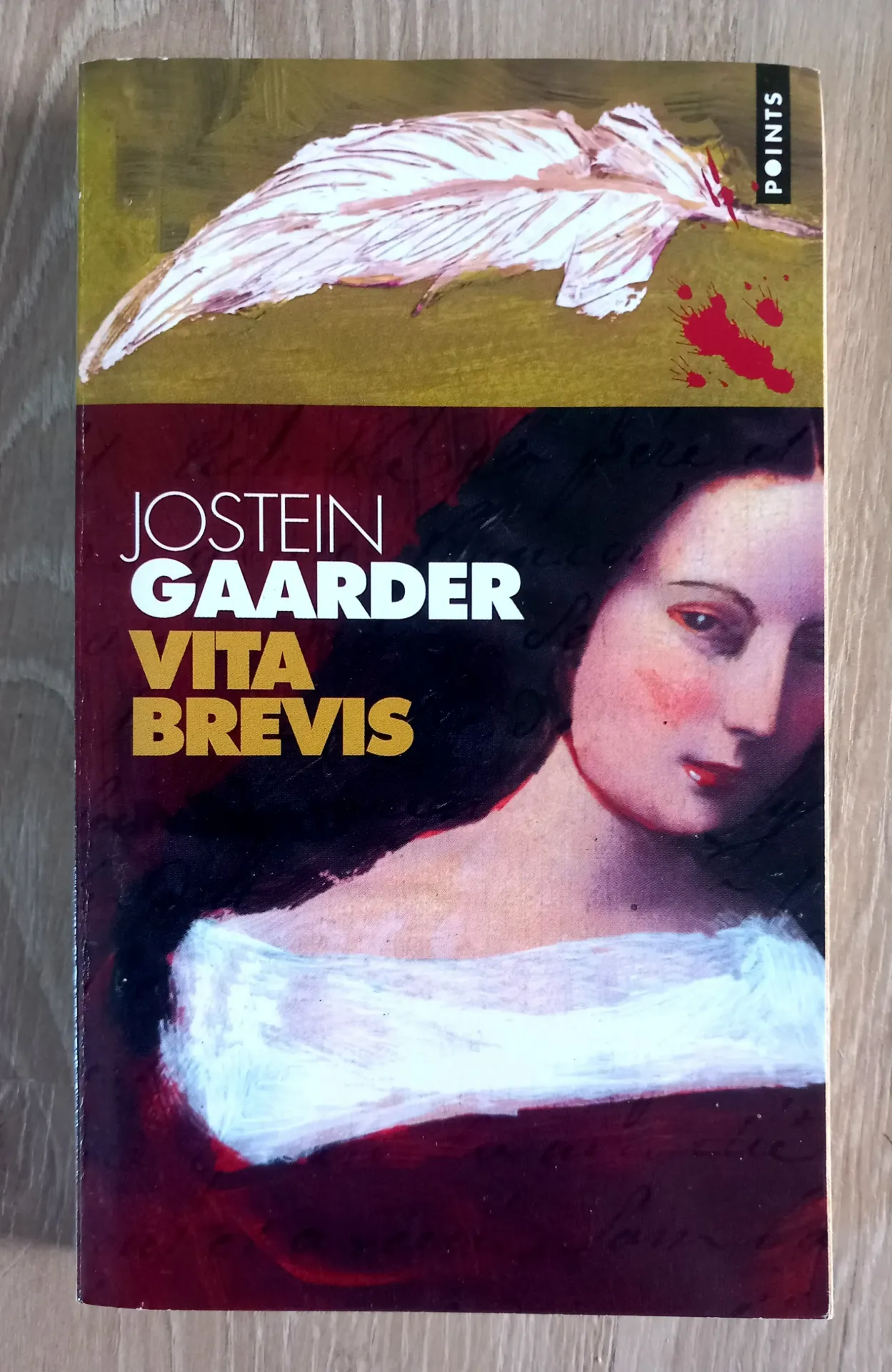 Vita Brevis (Jostein Gaarder)