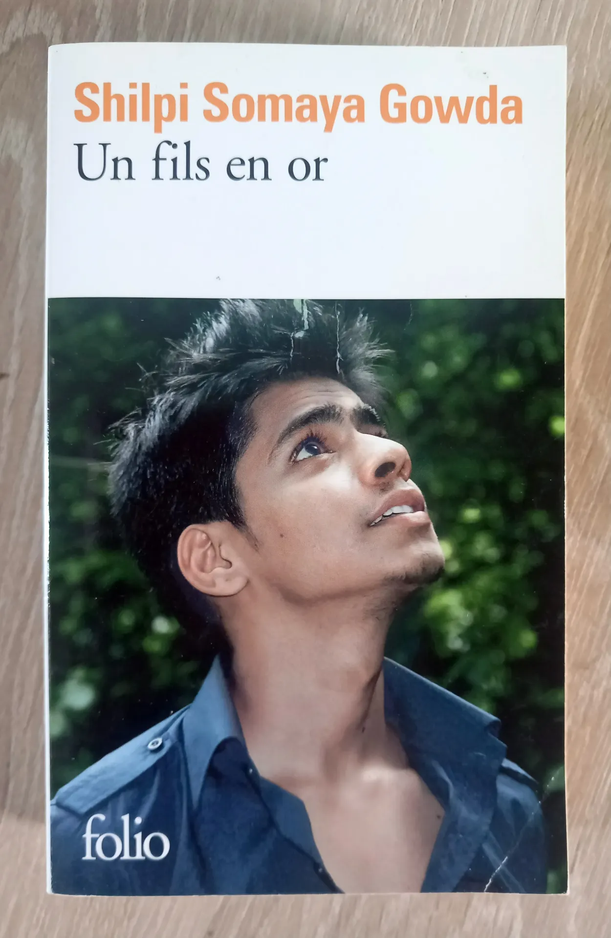 Un fils en or (Shilpi Somaya Gowda)