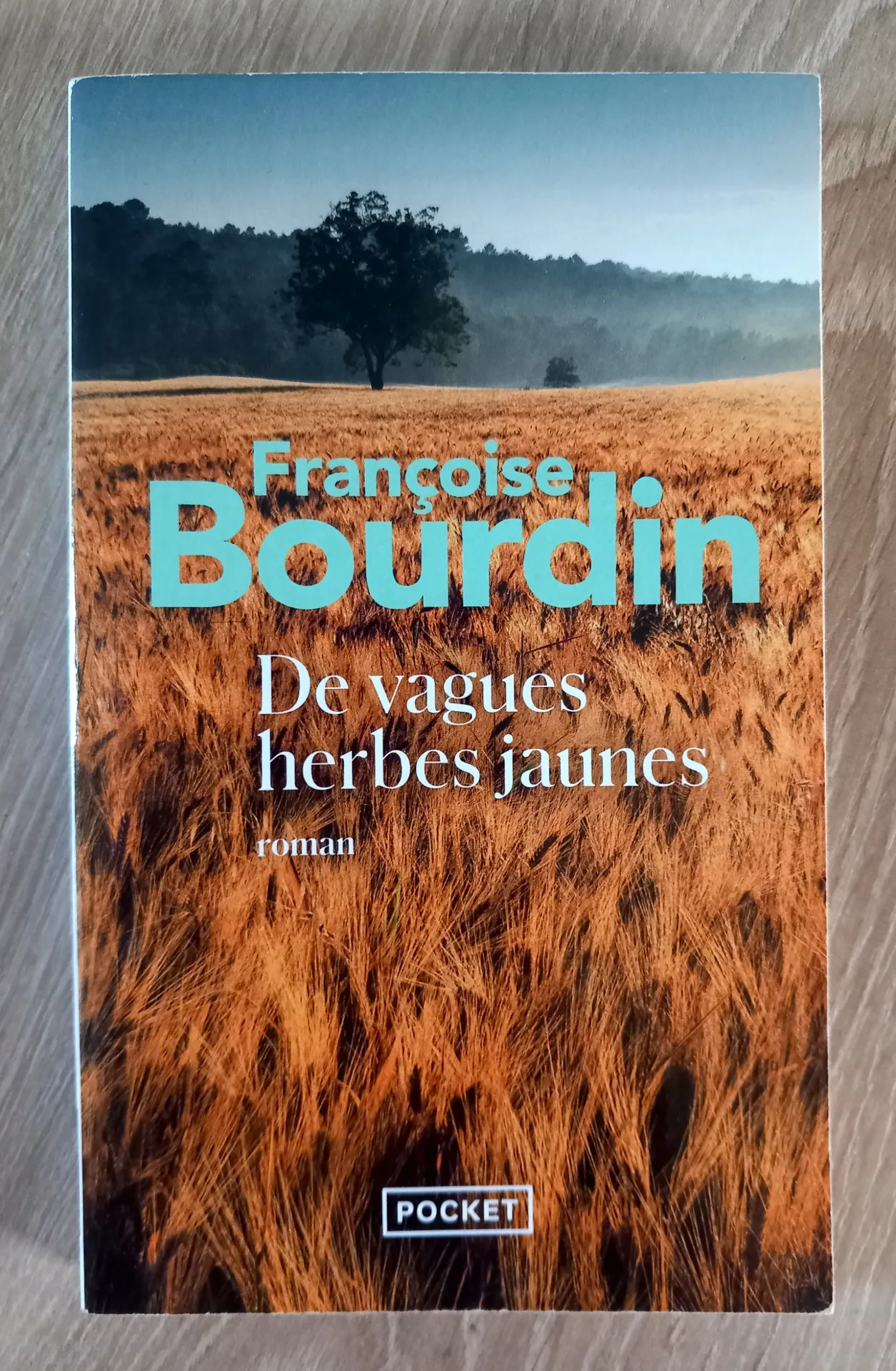 De vagues herbes jaunes (Françoise Bourdin)