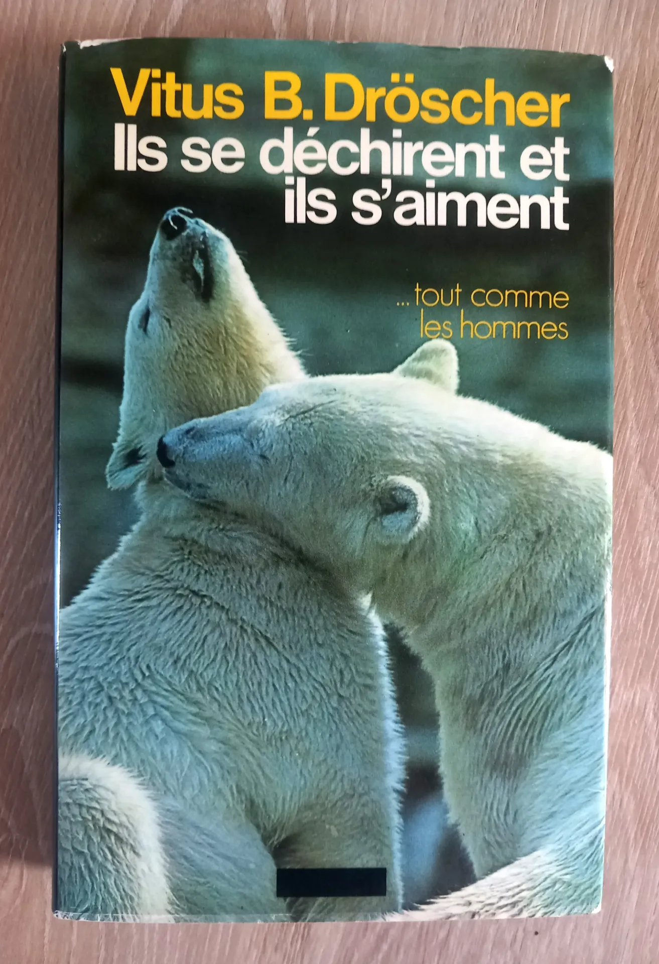 Ils se déchirent et ils s'aiment... (Virtus B)