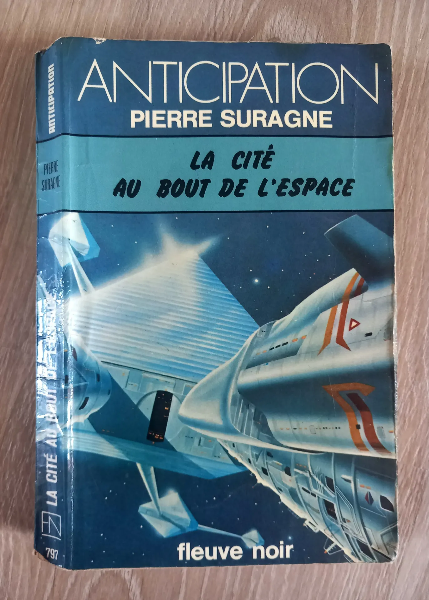 La cité au bout de l'espace (Pierre Suragne)