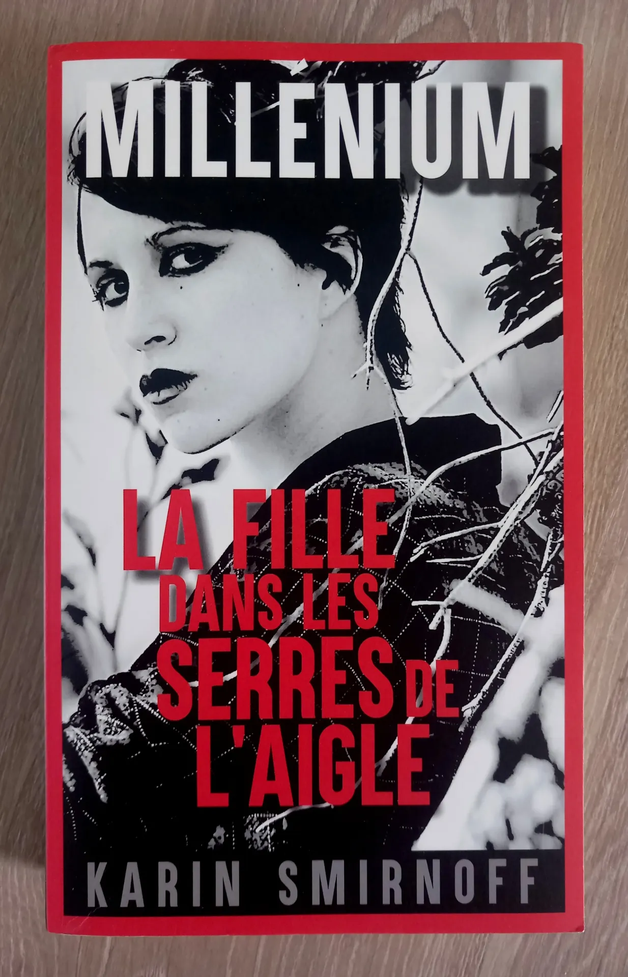 Millénium 7 : La fille dans les serres de l'aigle (Karin Smirnoff)