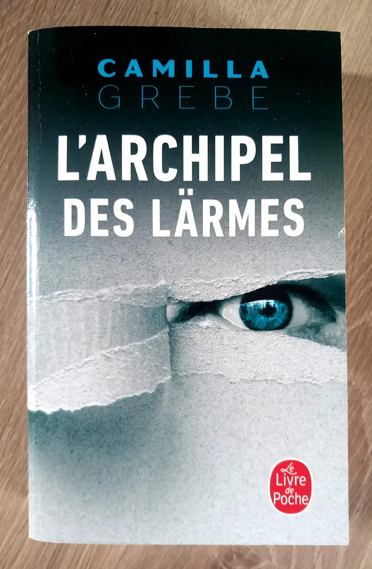 L'archipel des lärmes (Camilla Grebe)