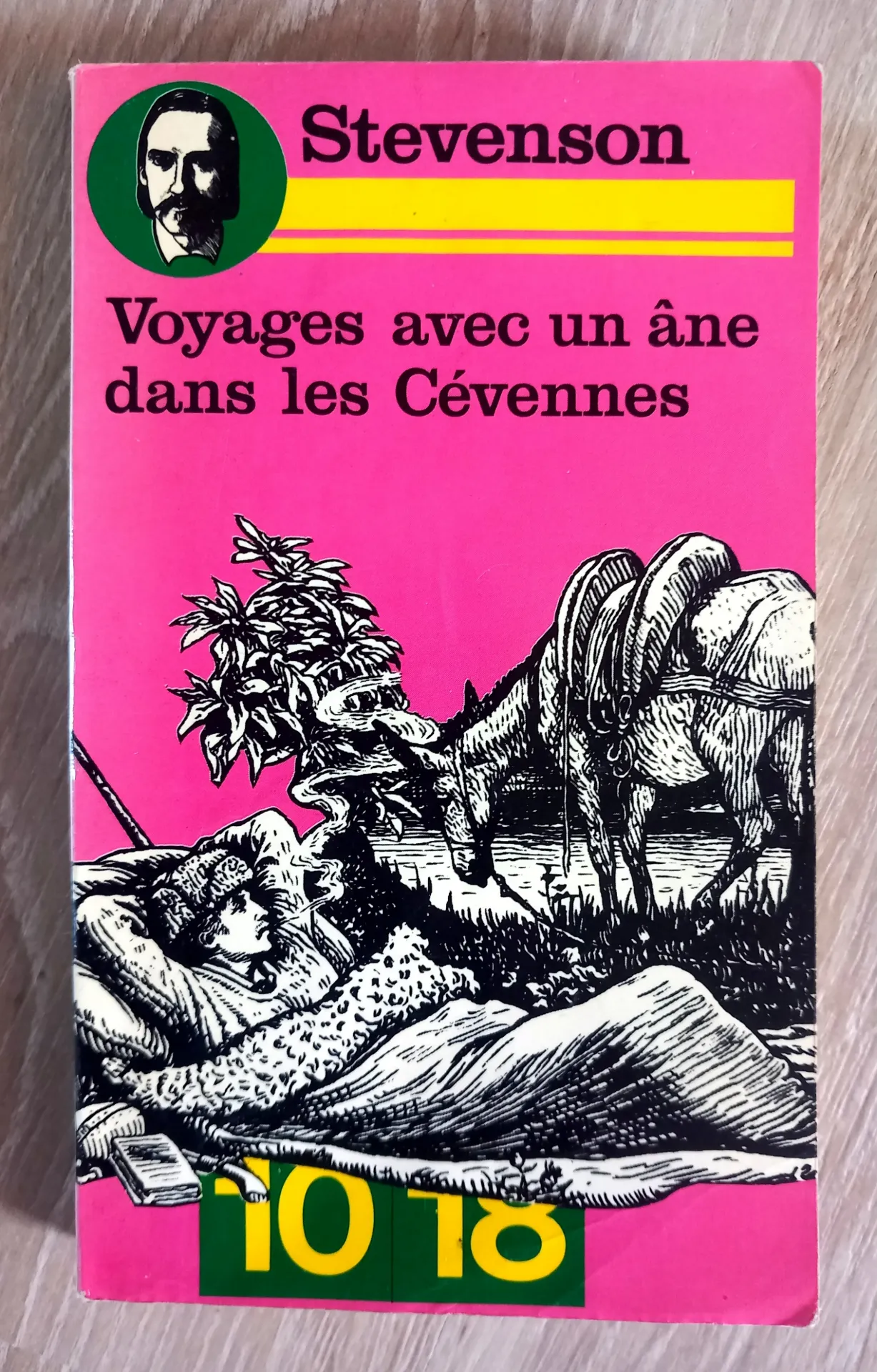 Voyages avec un âne dans les Cévennes (Robert Louis Stevenson)
