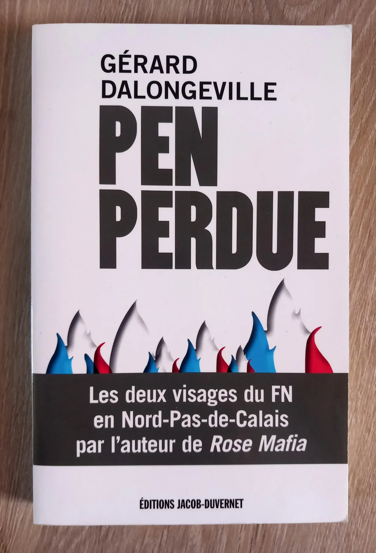 Pen perdue (Gérard Dalongeville)