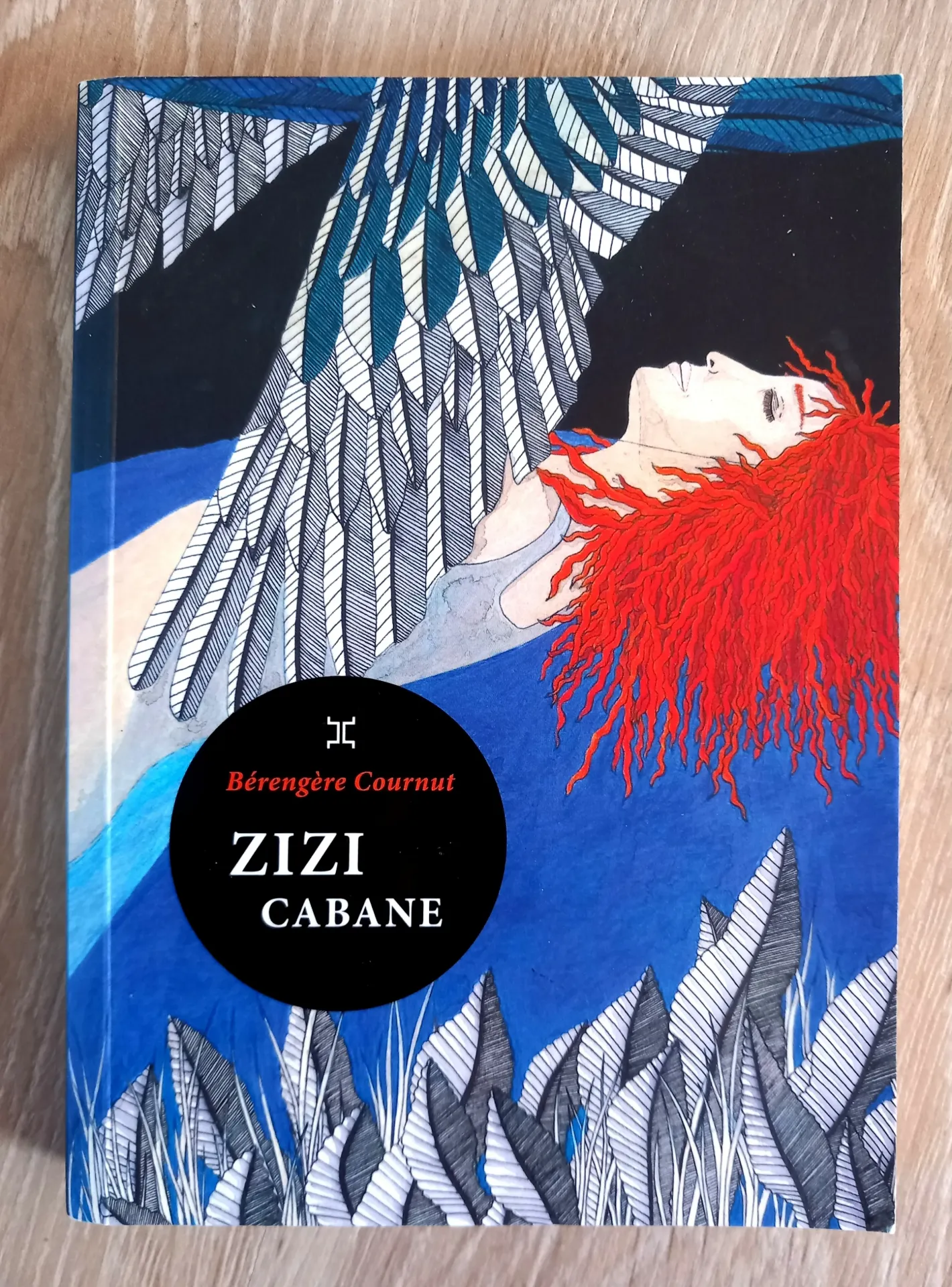 Zizi cabane (Bérengère Cournut)