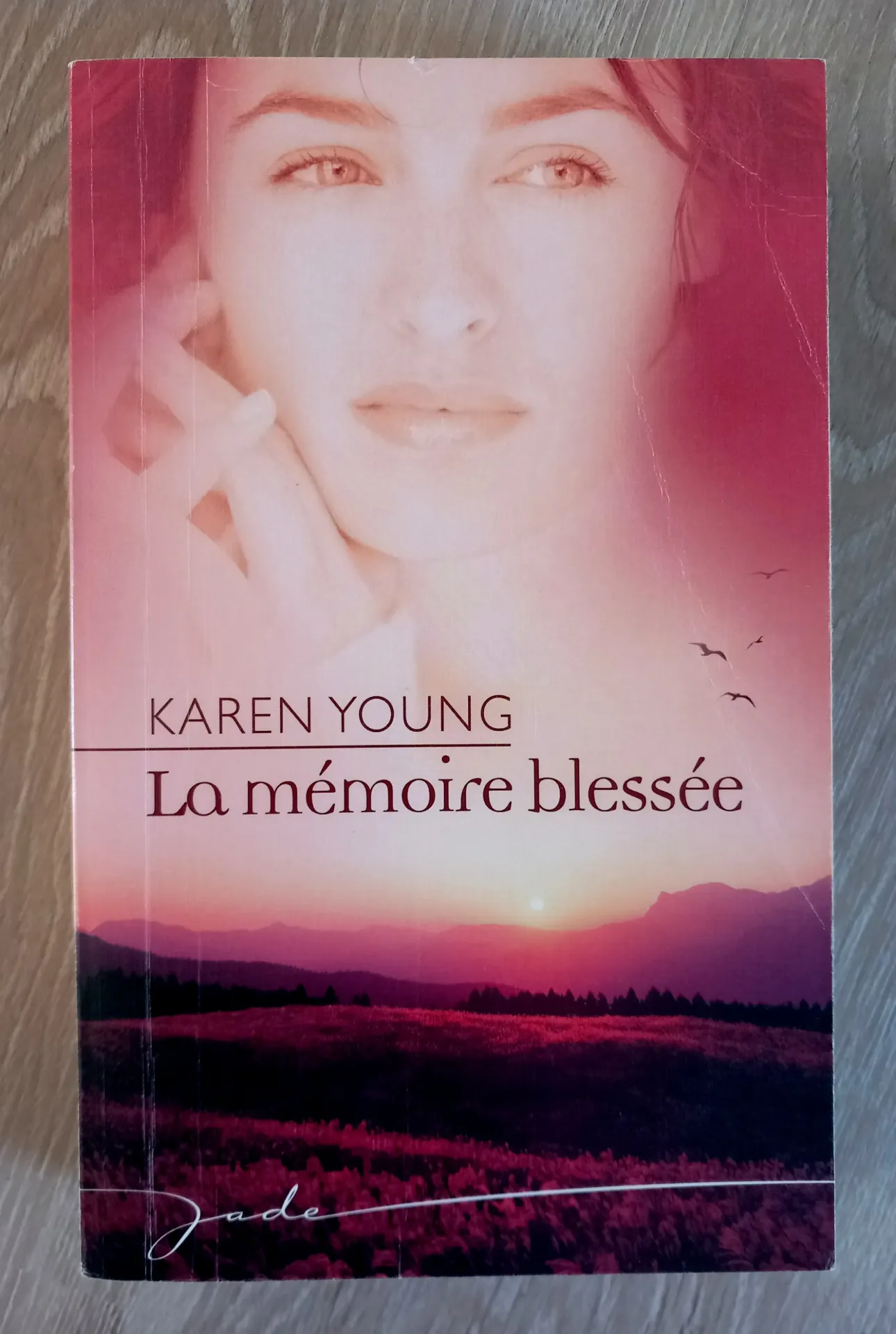 La mémoire blessée (Karen Young)