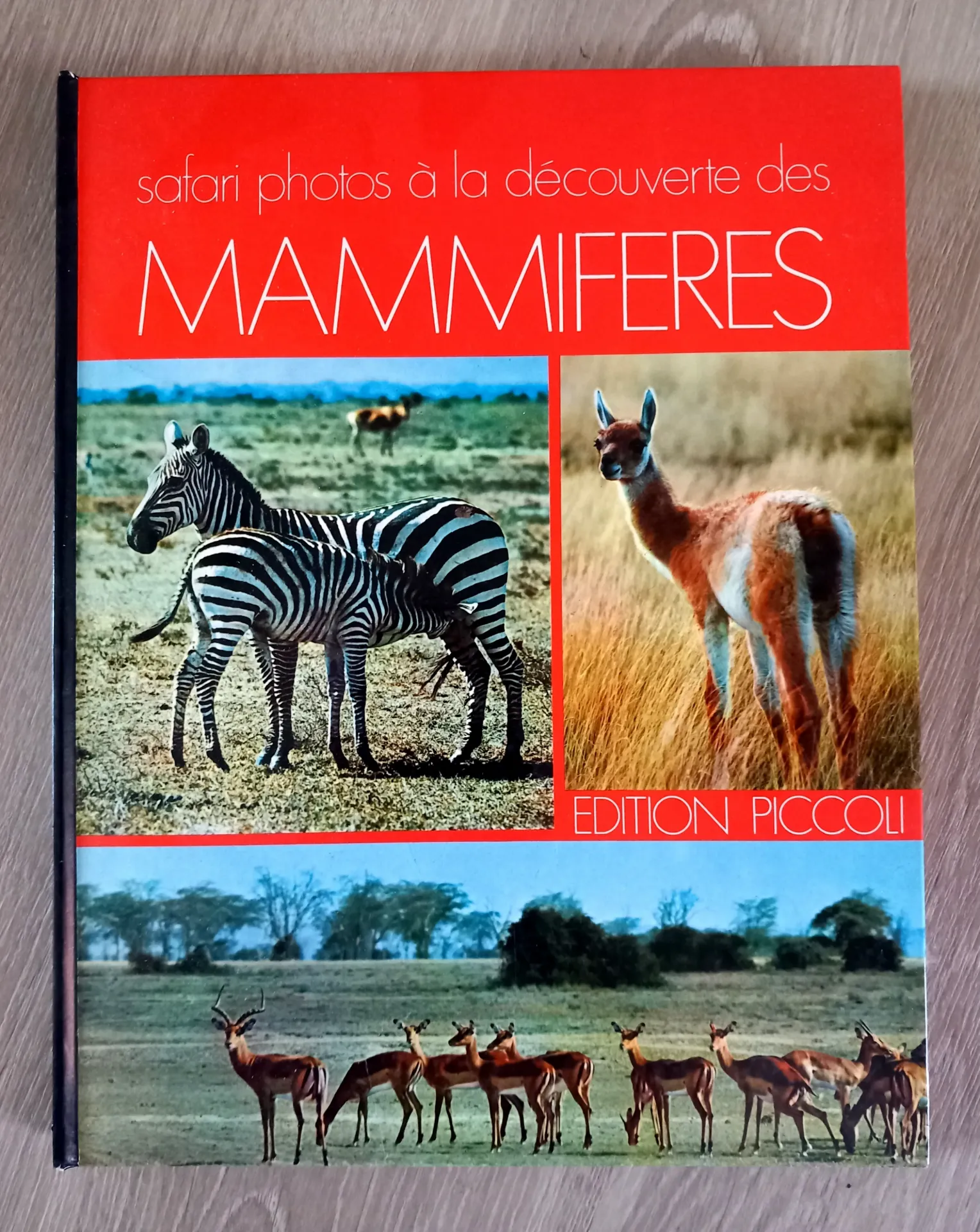 Safari photos à la découverte des mammifères (Luigi Cagnolaro)