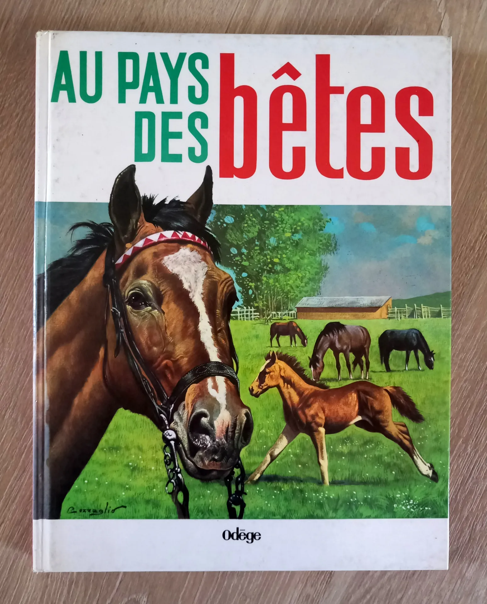 Au pays des bêtes - Collection Splendide