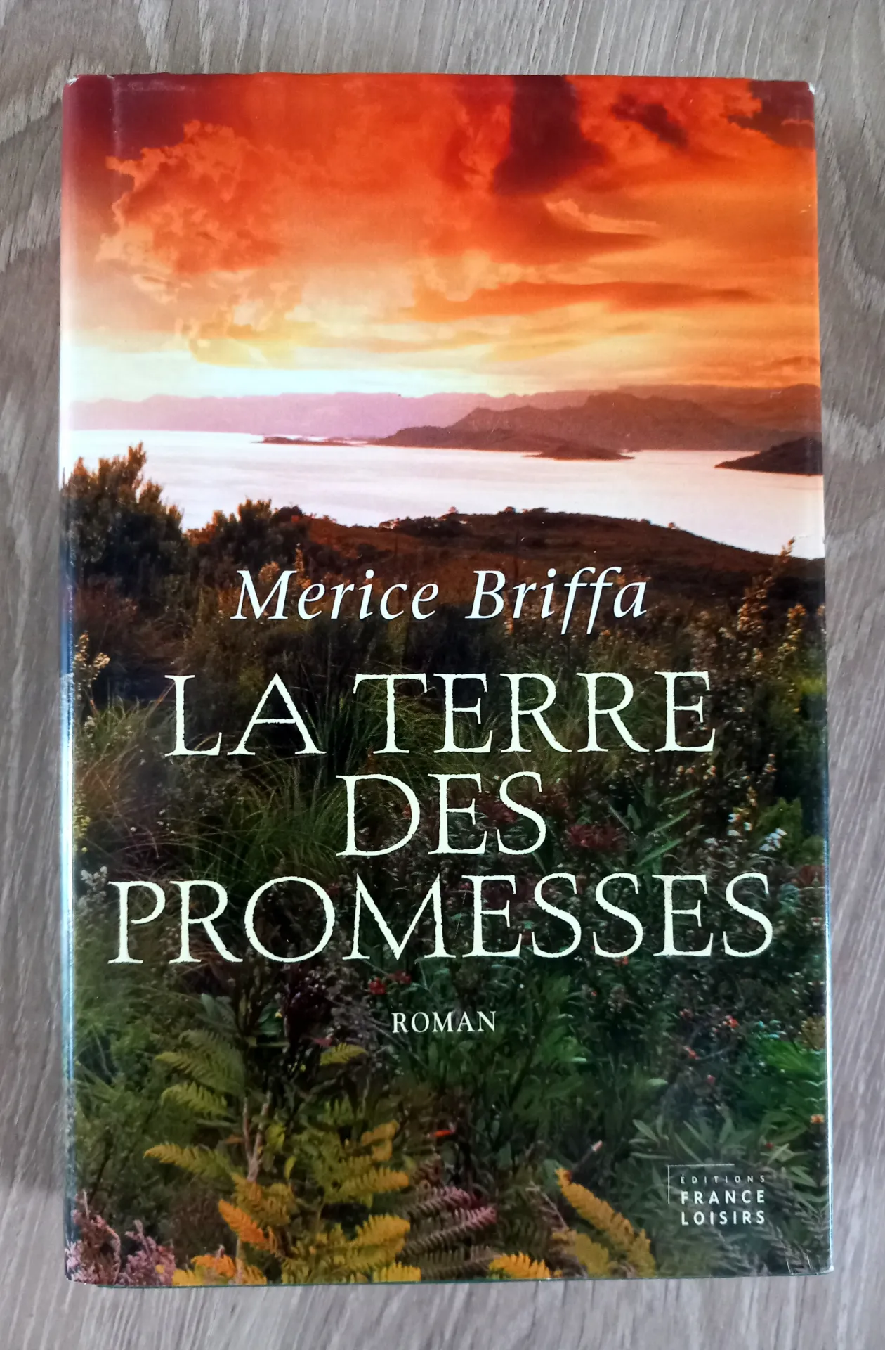 La terre des promesses (Merice Briffa)