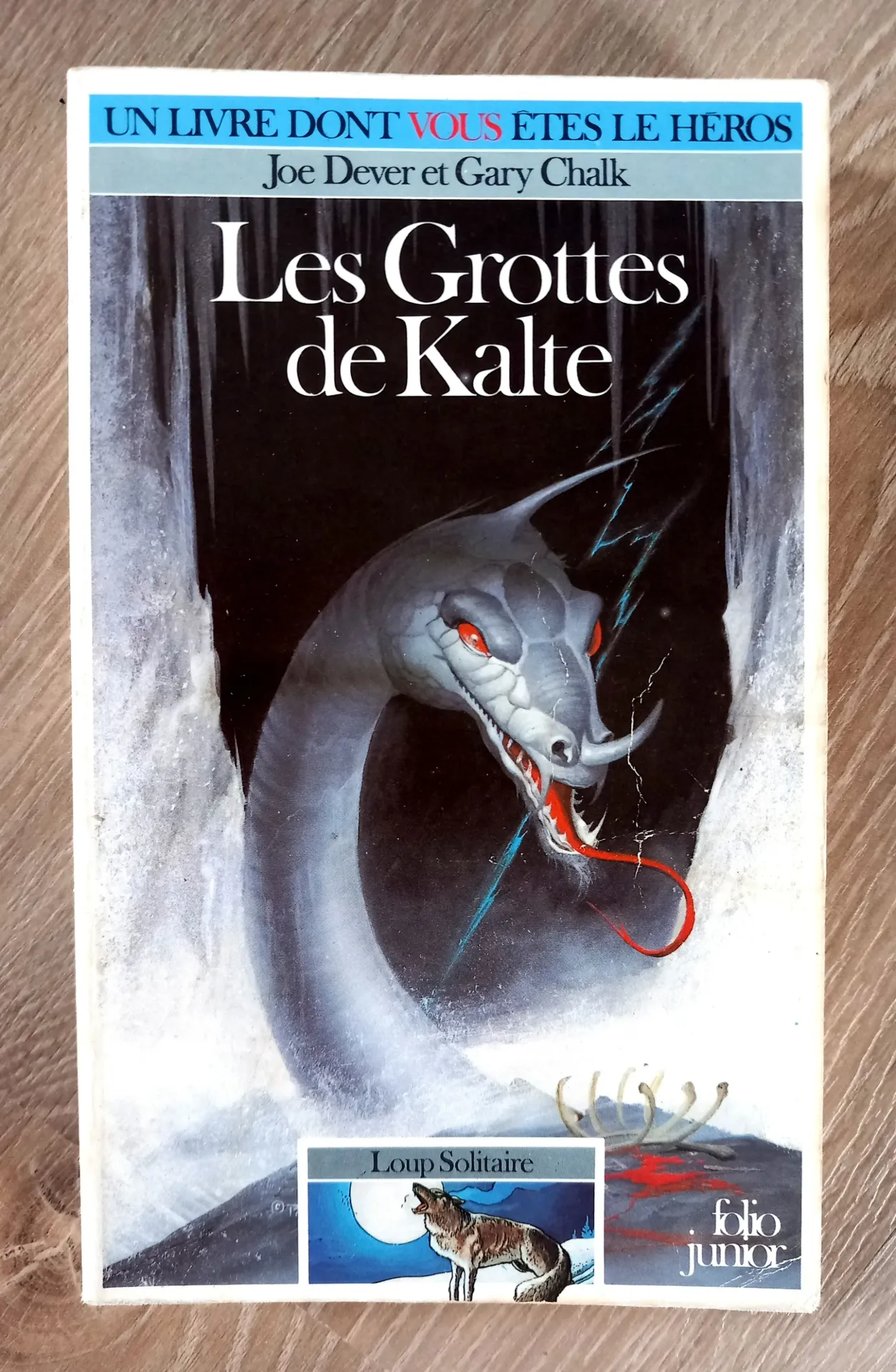 LDVELH : Les grottes de Kalte (Joe Dever et Gary Chalk)