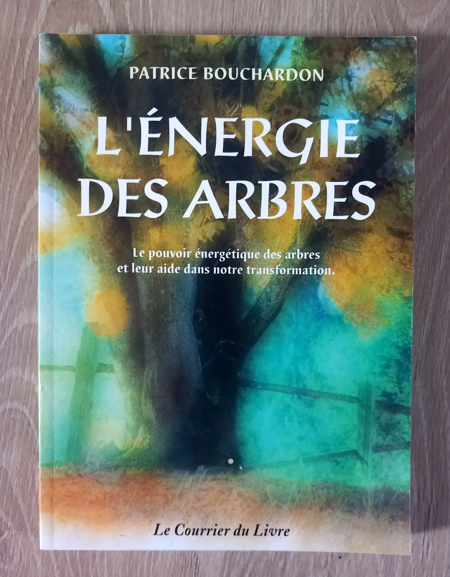 L'énergie des arbres (Patrice Bouchardon)