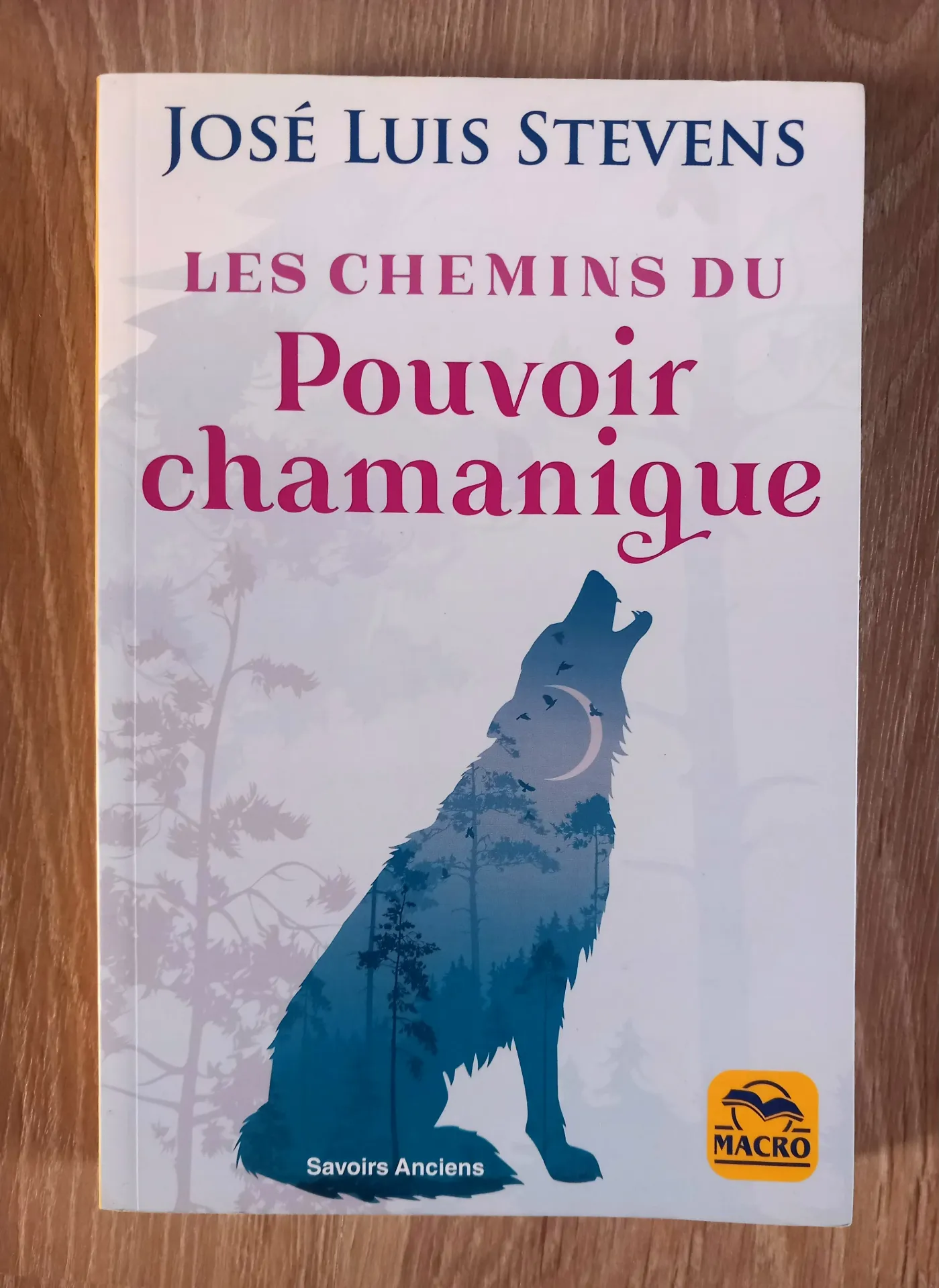 Les chemins du pouvoir chamanique (José Luis Stevens)