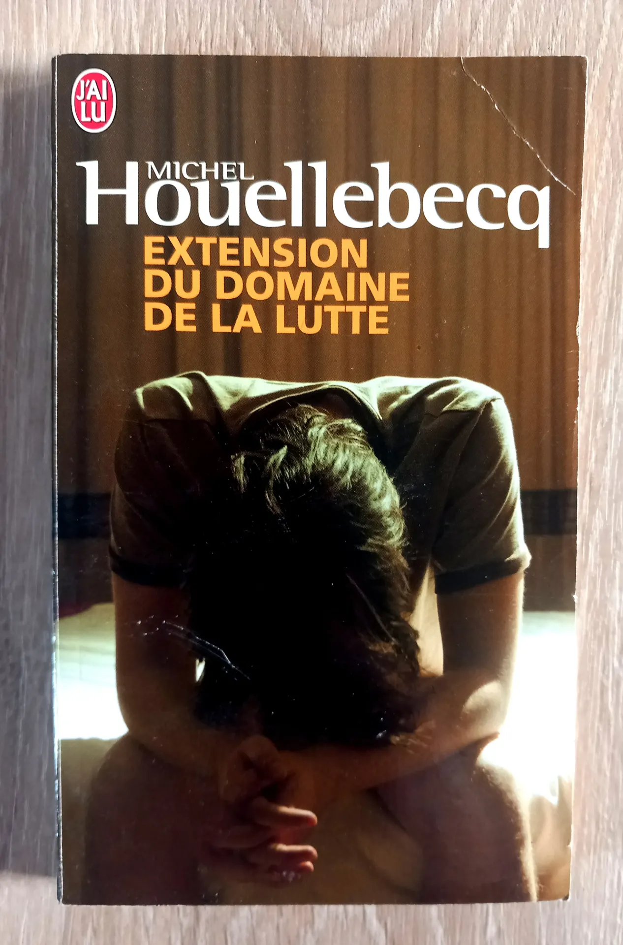 Extension du domaine de la lutte (Michel Houellebecq)