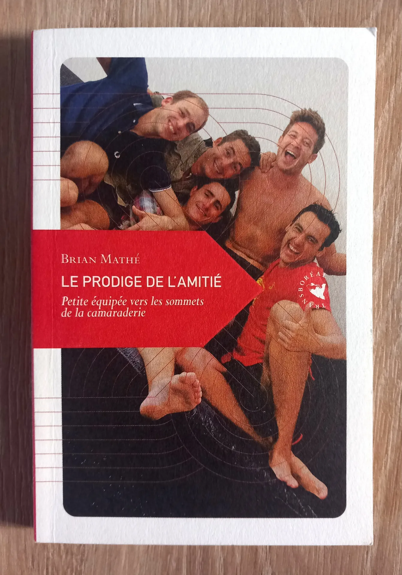 Le prodige de l'amitié (Brian Mathé)