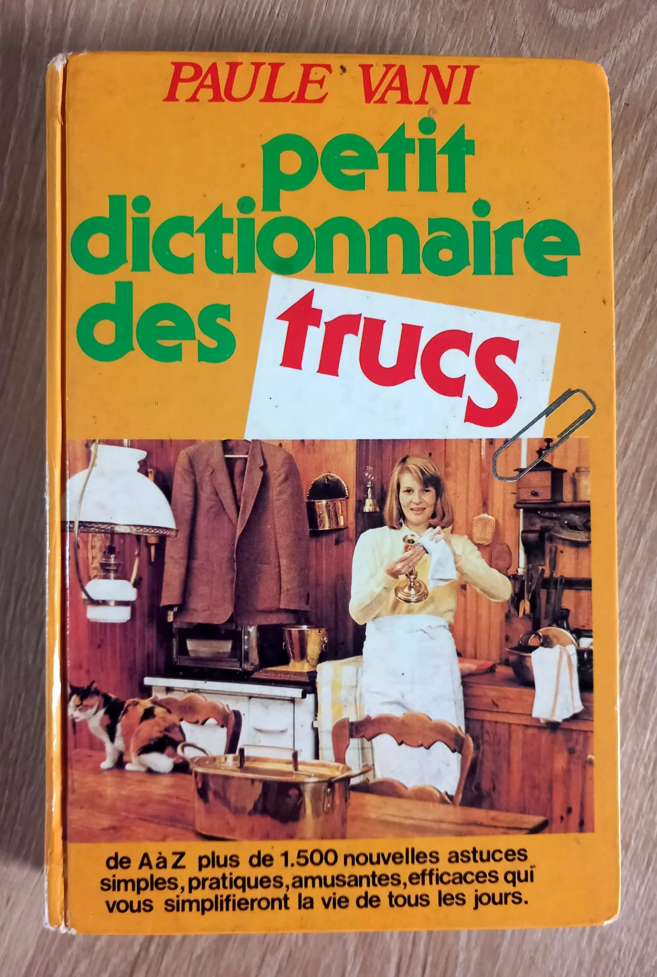 Petit dictionnaire des trucs (Paule Vani)