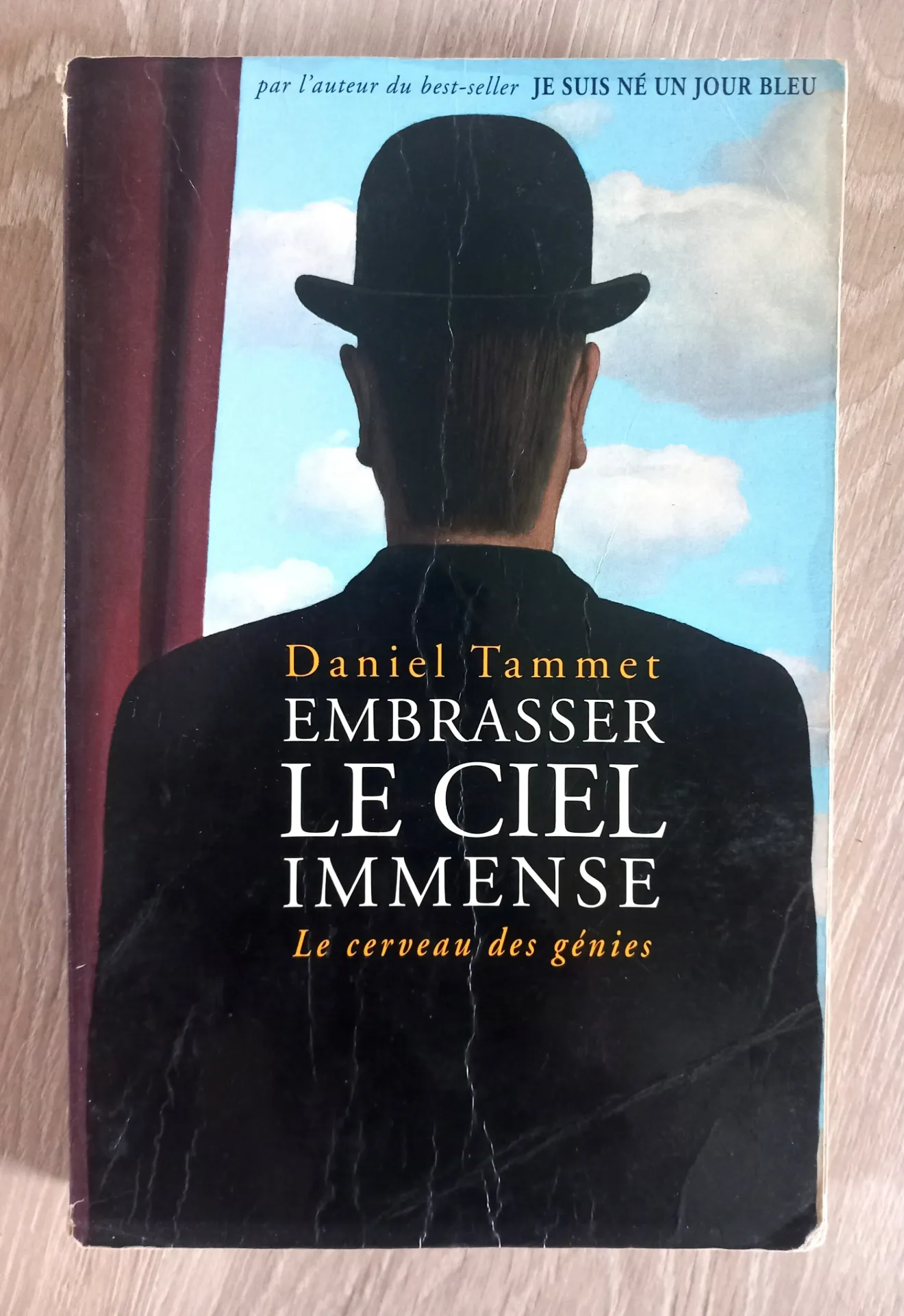 Embrasser le ciel immense : le cerveau des génies (Daniel Tammet)